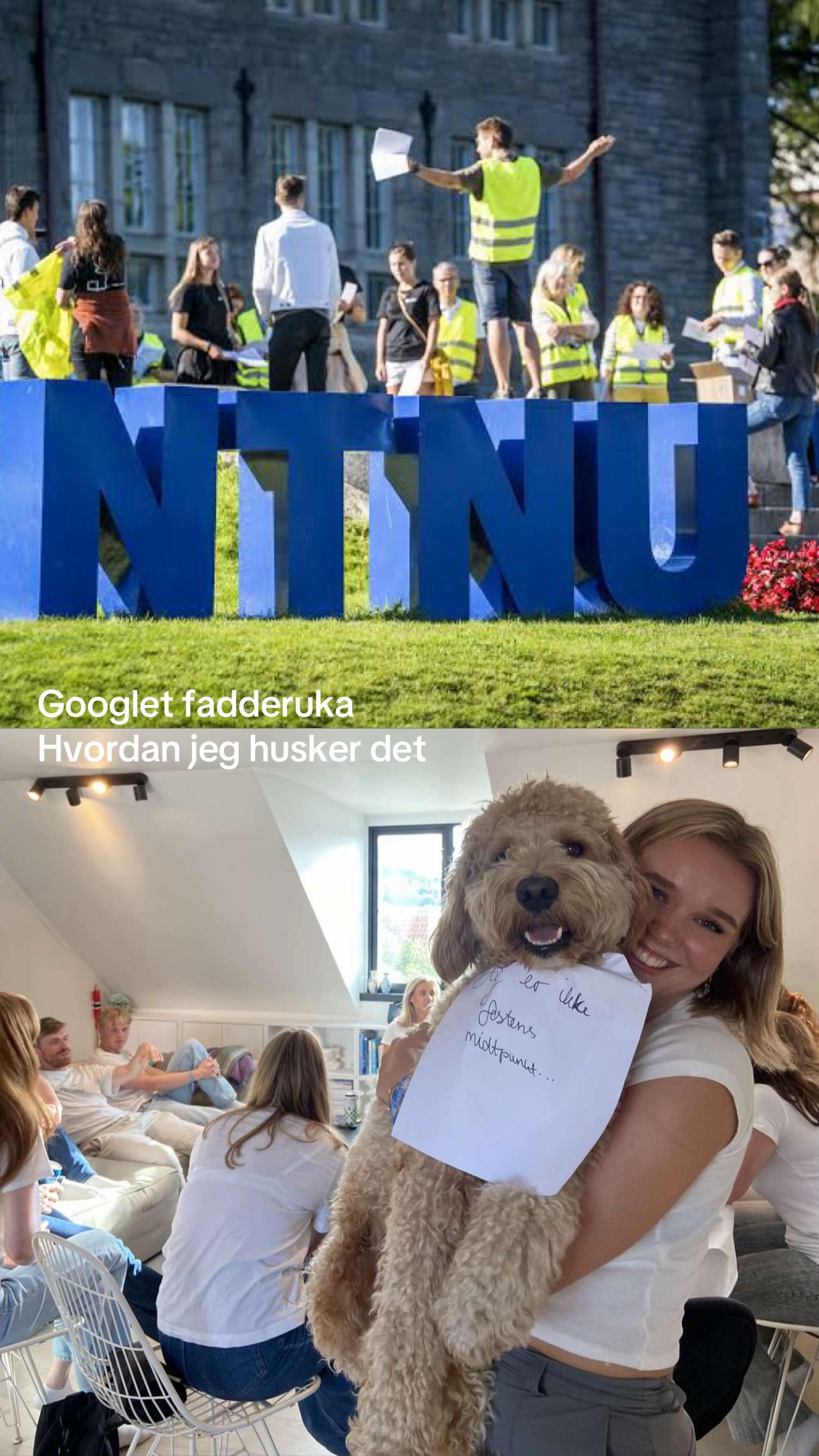 @NTNU Samfunn