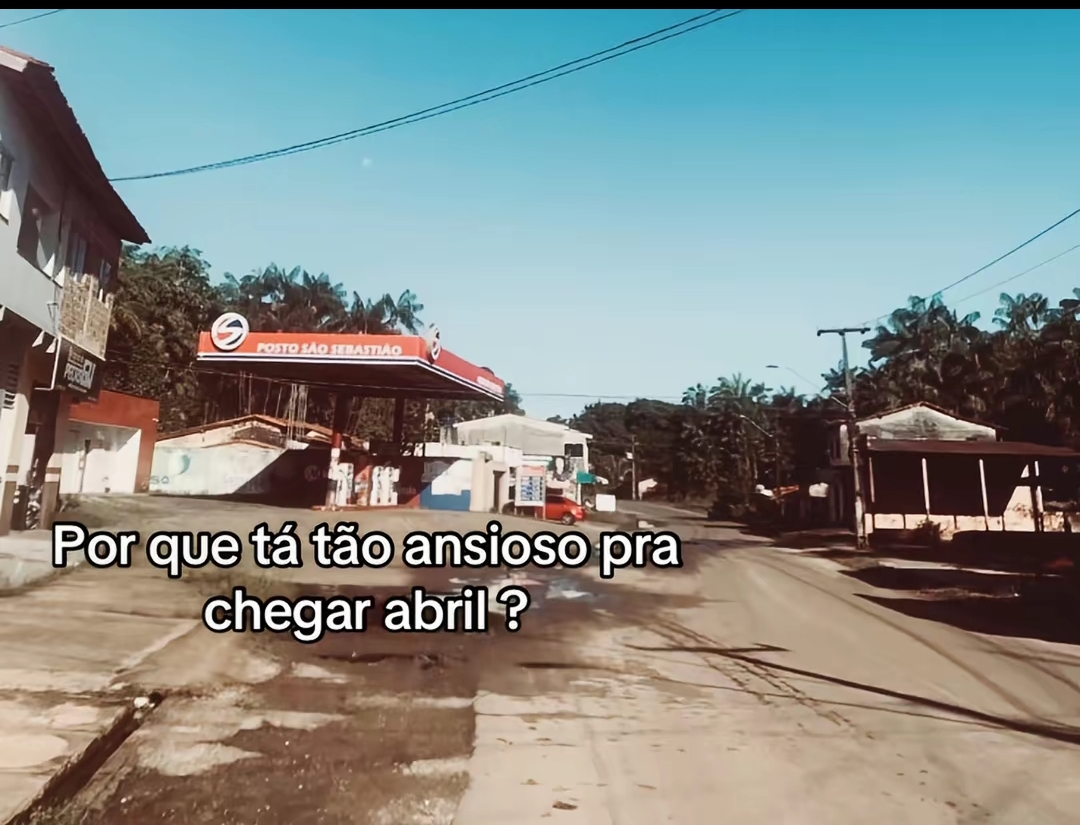 @joice lemes