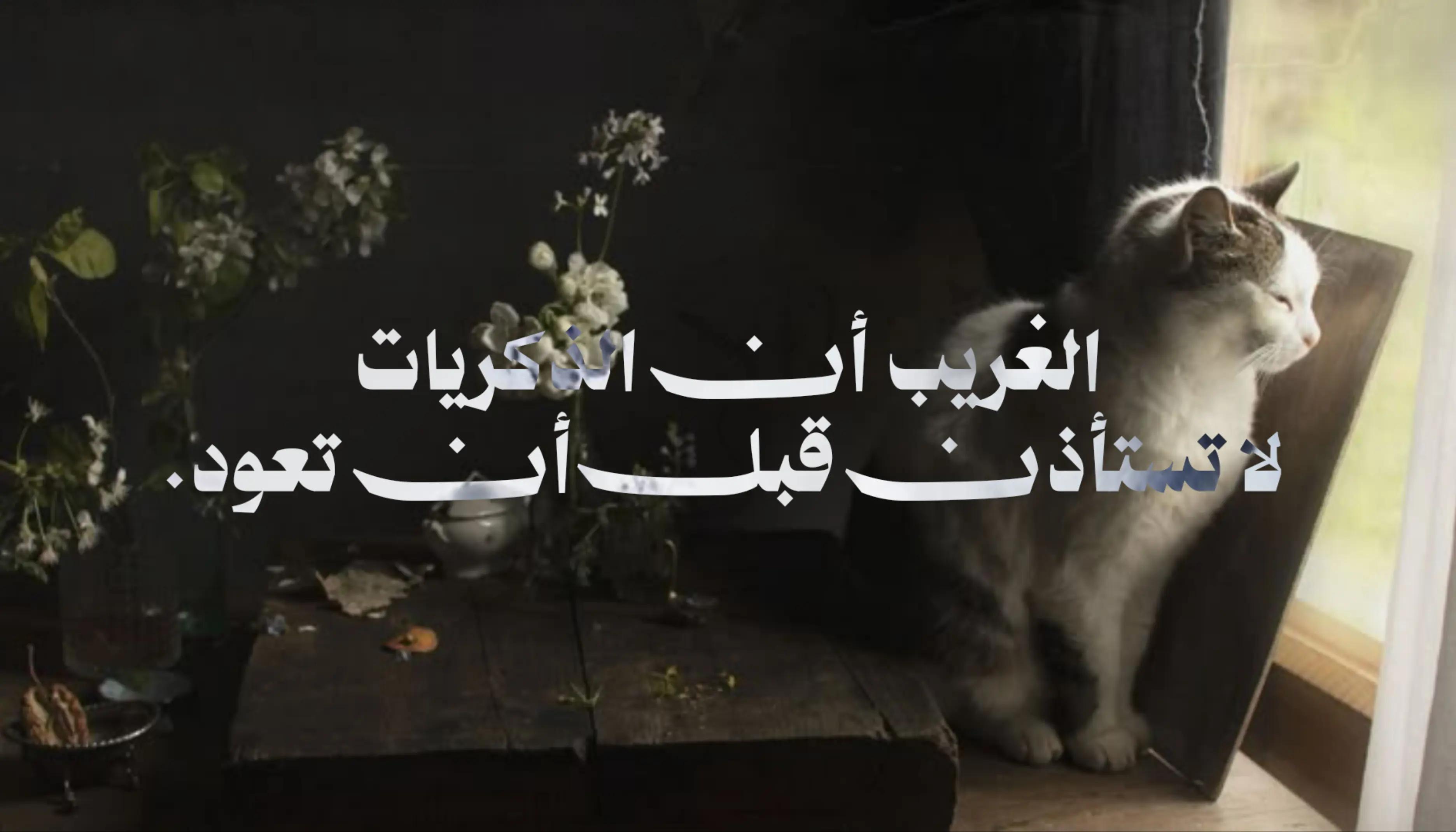 @وهمہ