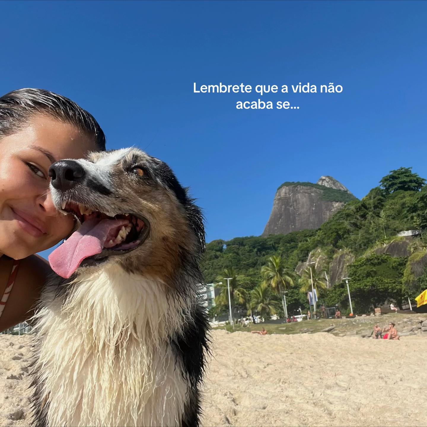 @Giovana Faria