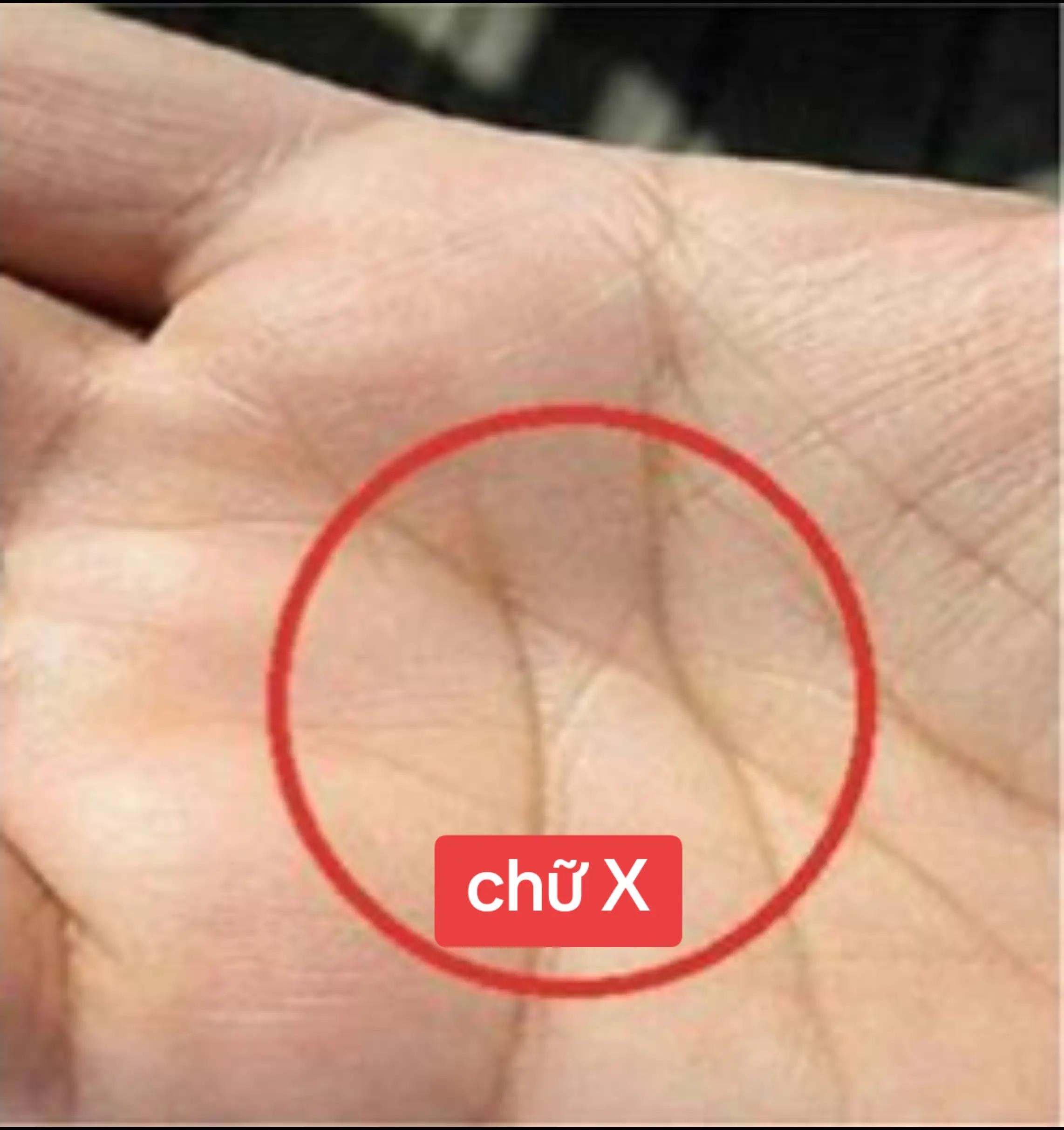 @Nhân Tướng Sửa Mình (Đỗ Lâm)