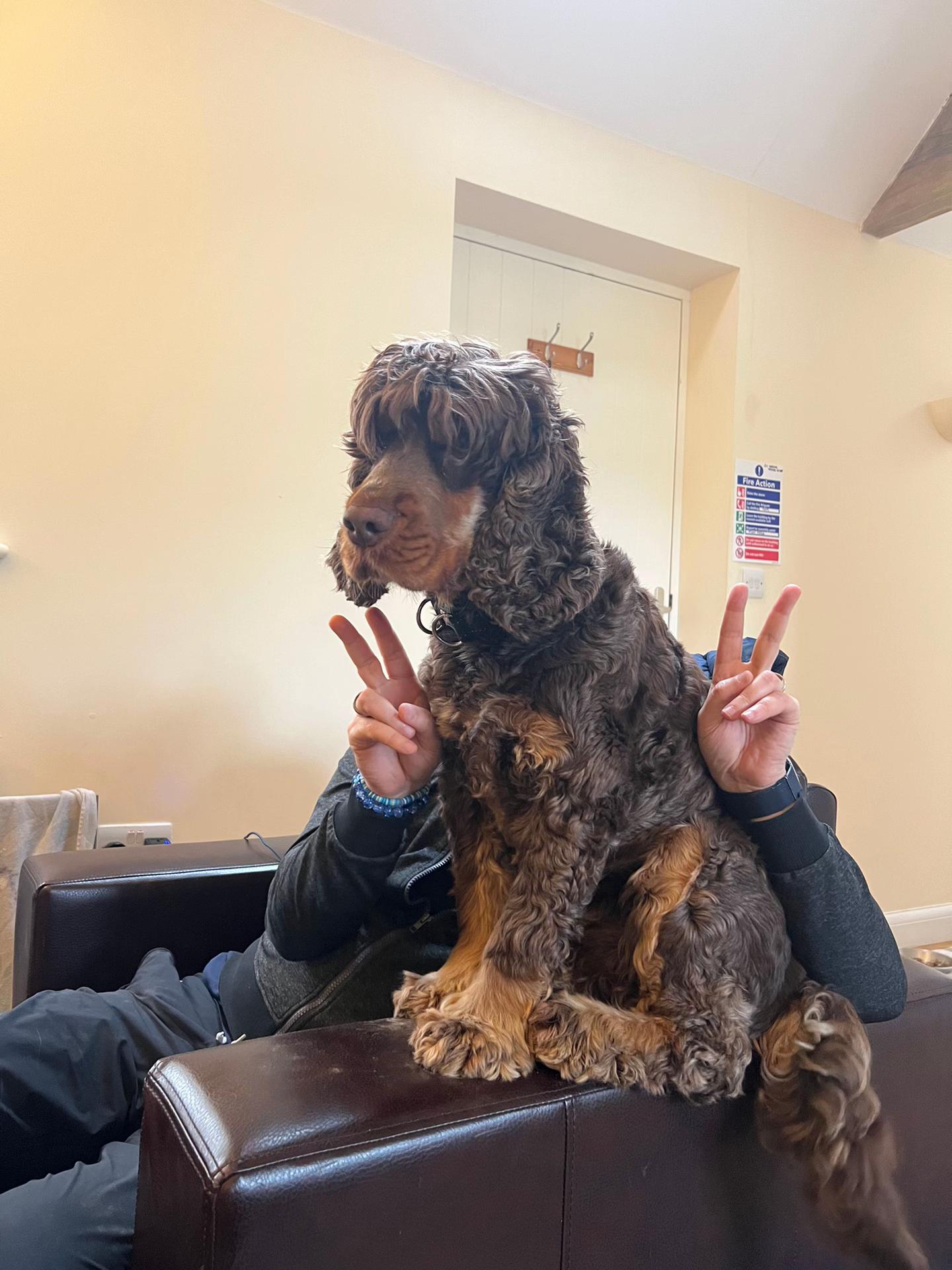 @𝐄.𝐇