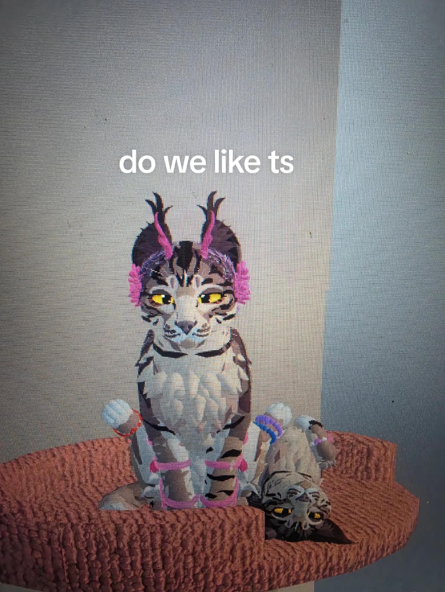 @•~×``Kat the cat``×~•