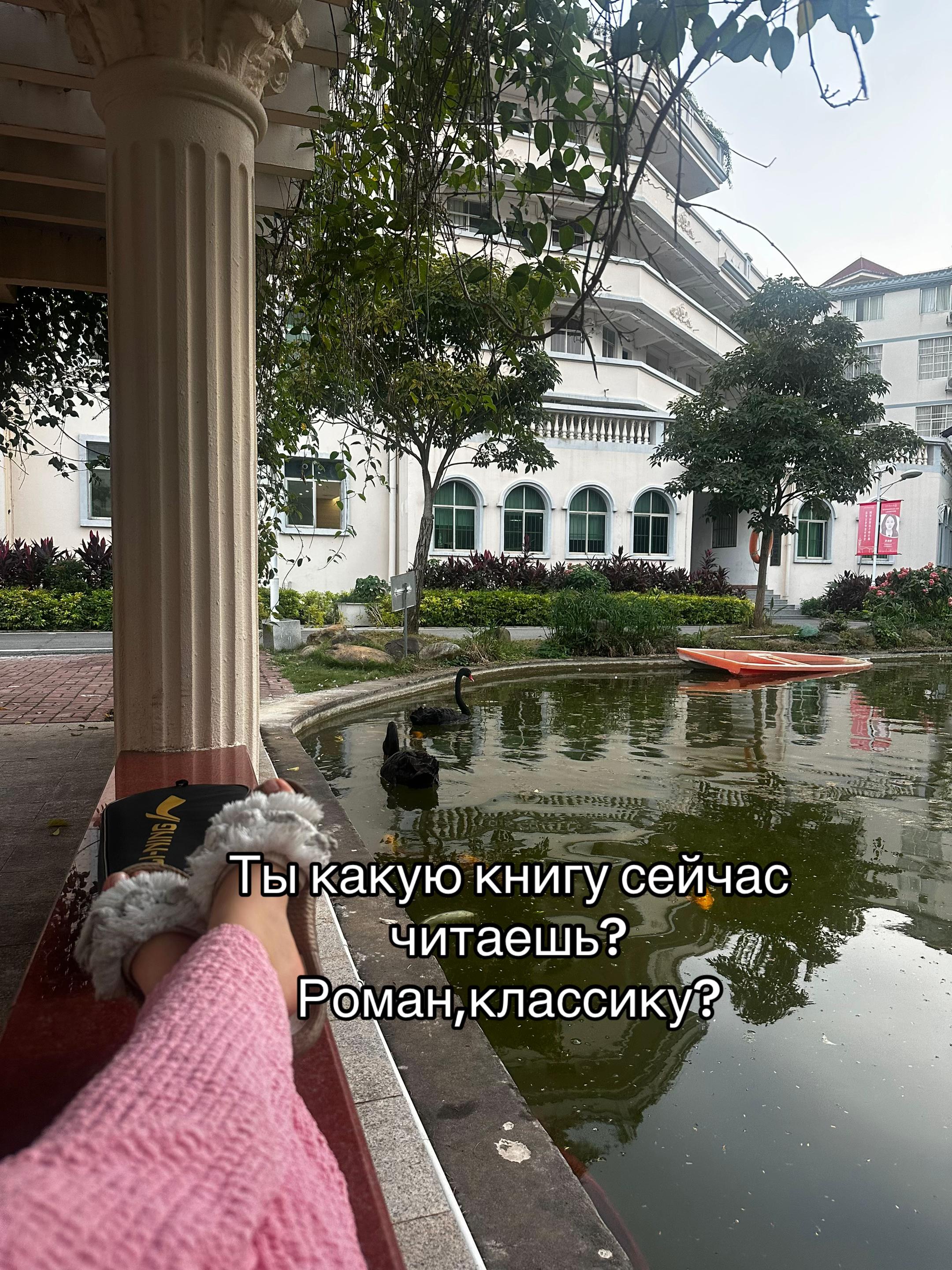 @Сæша