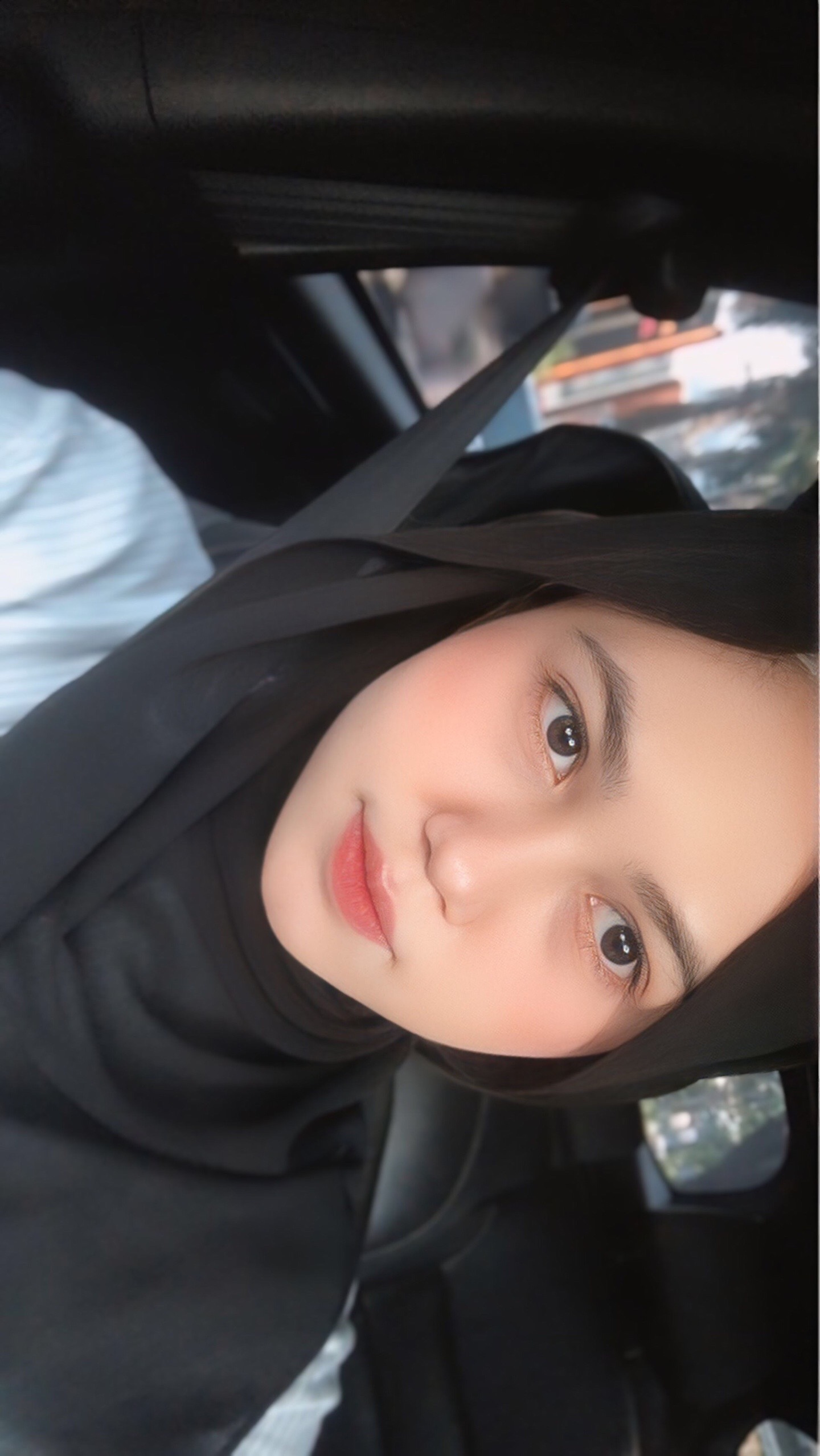 @🐼