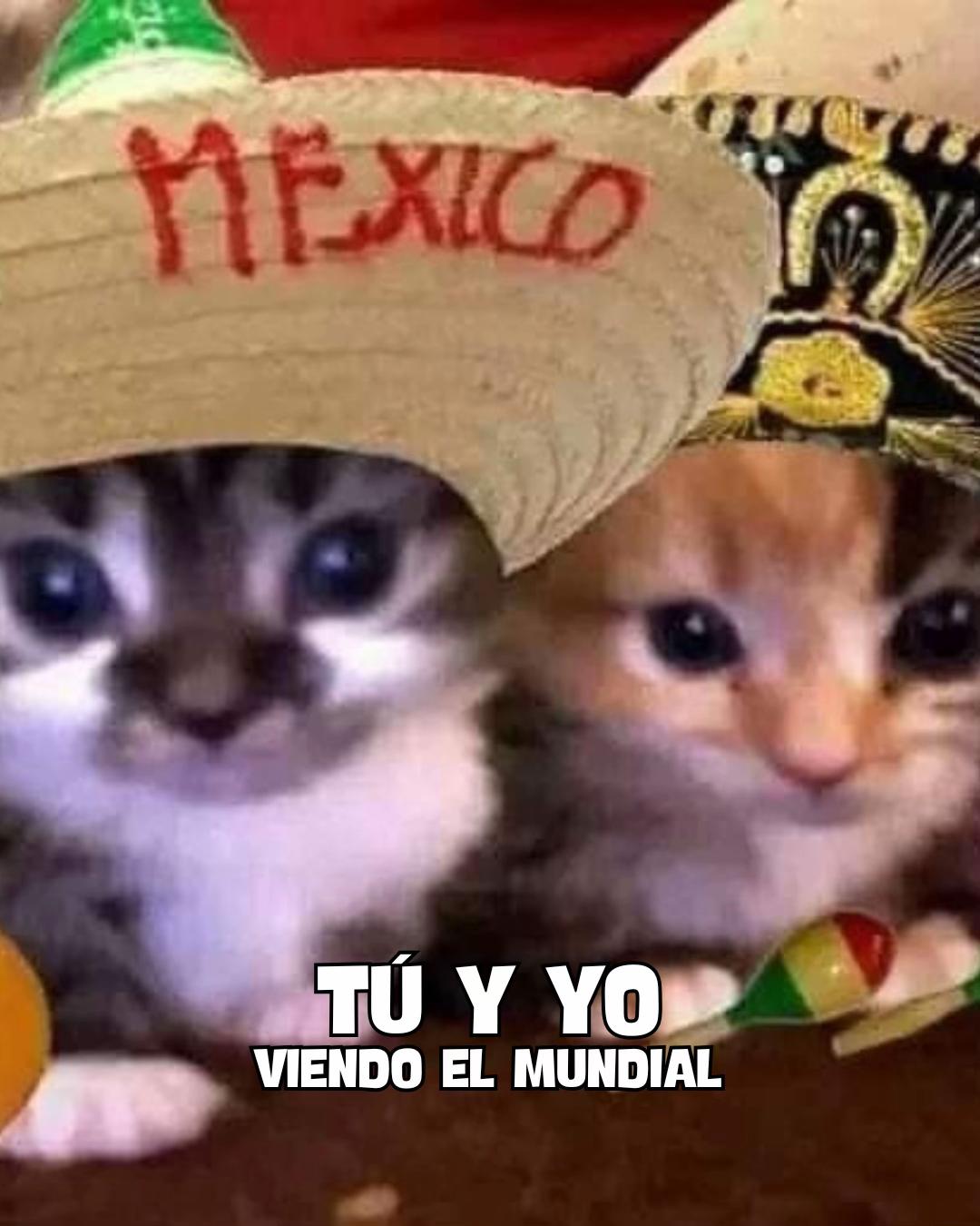@Petlife