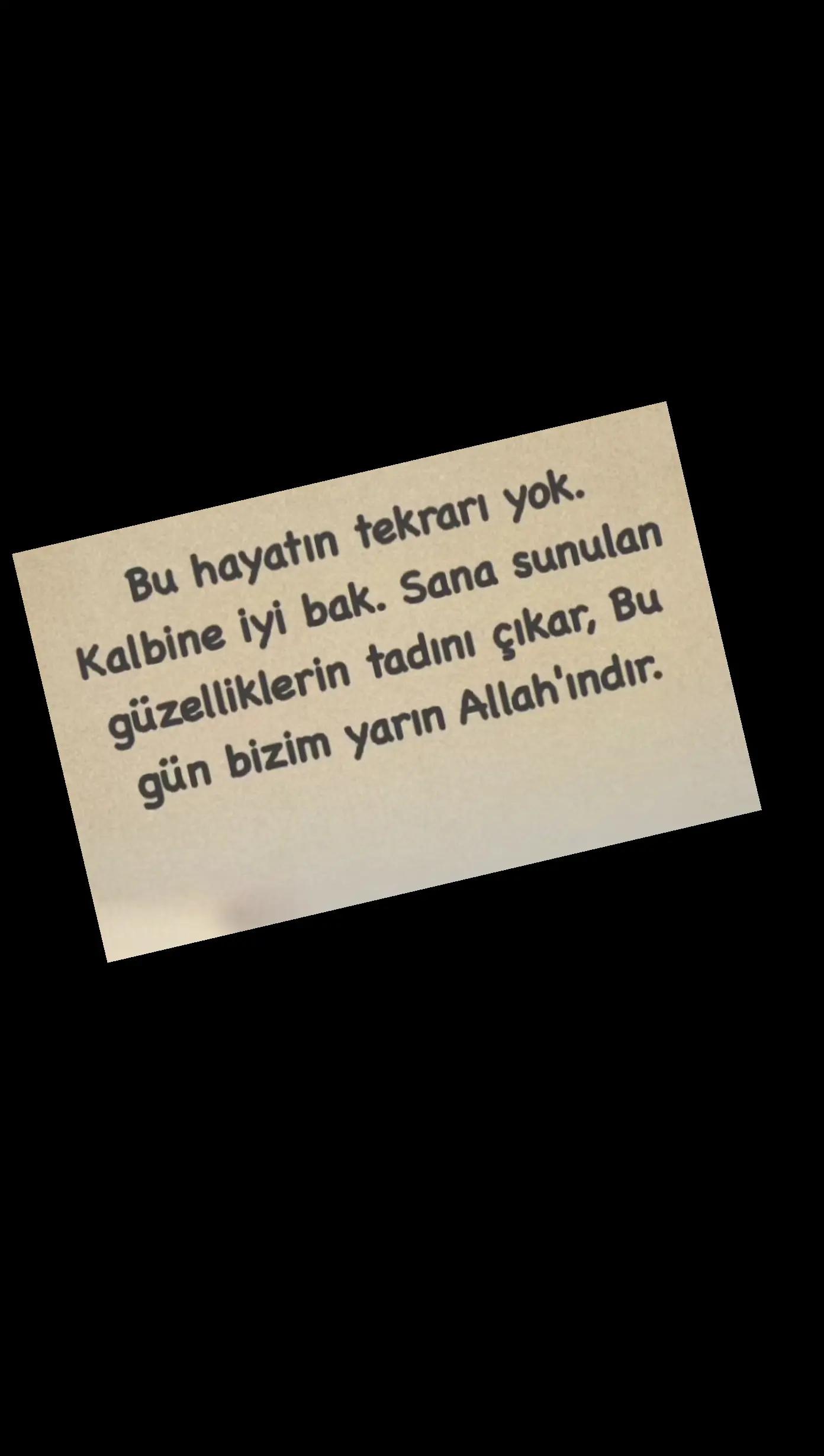 @papatya