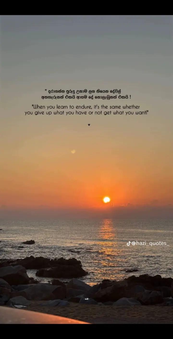 @@Hasheena___🧚❤️🍭