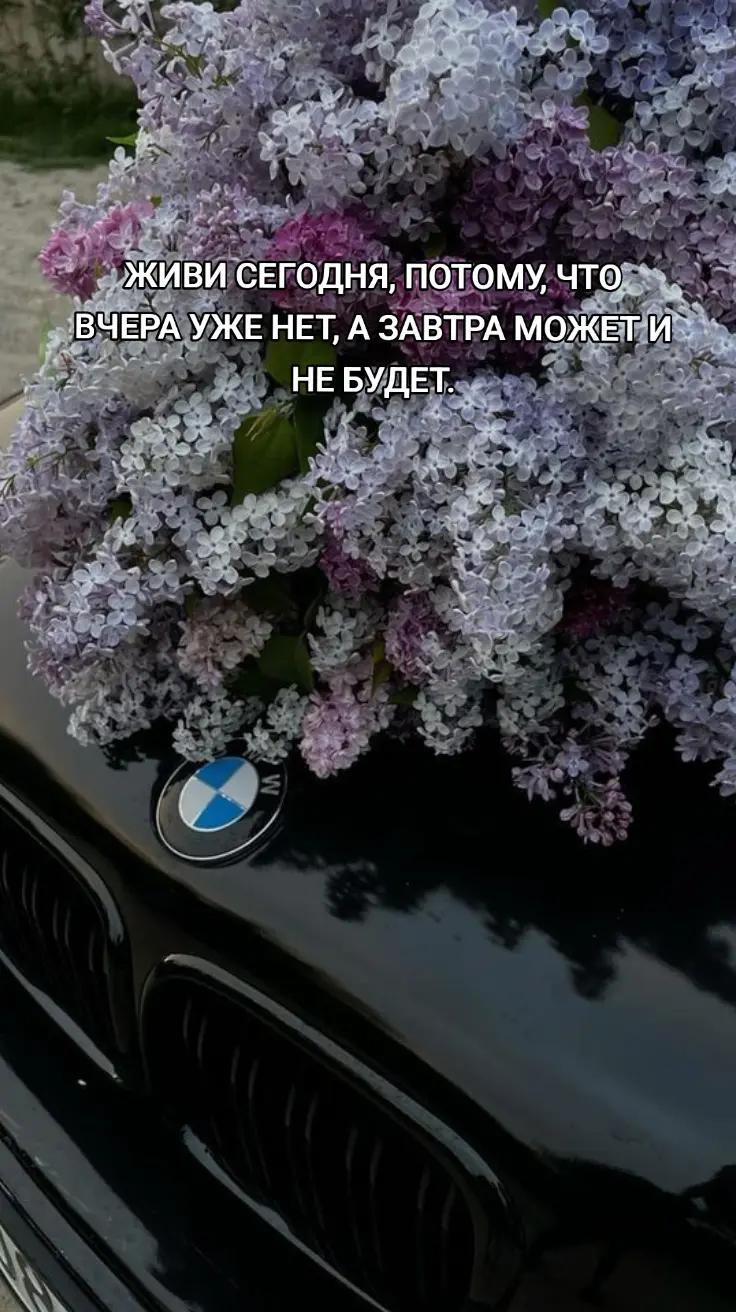 @mikki