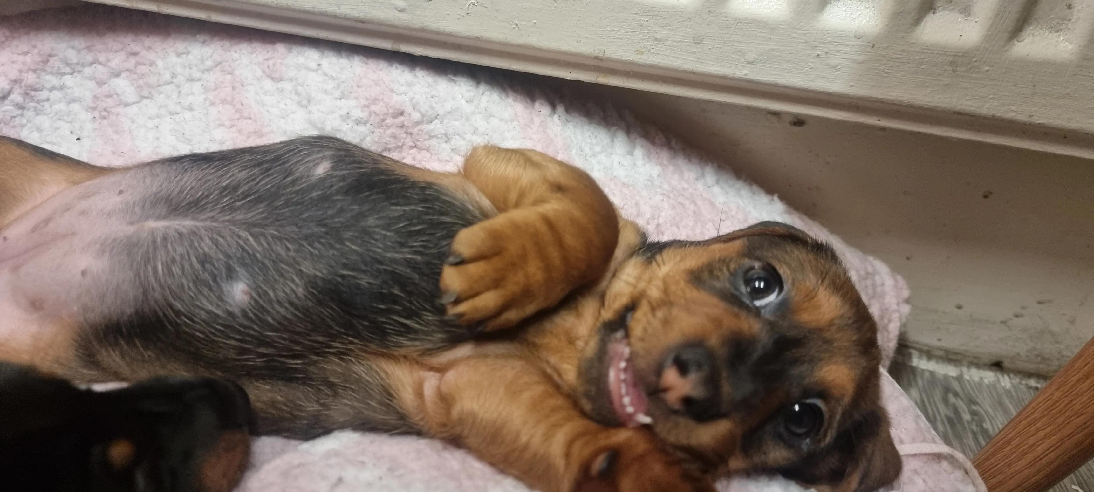 @Lukaš》❤《 Iveta❤