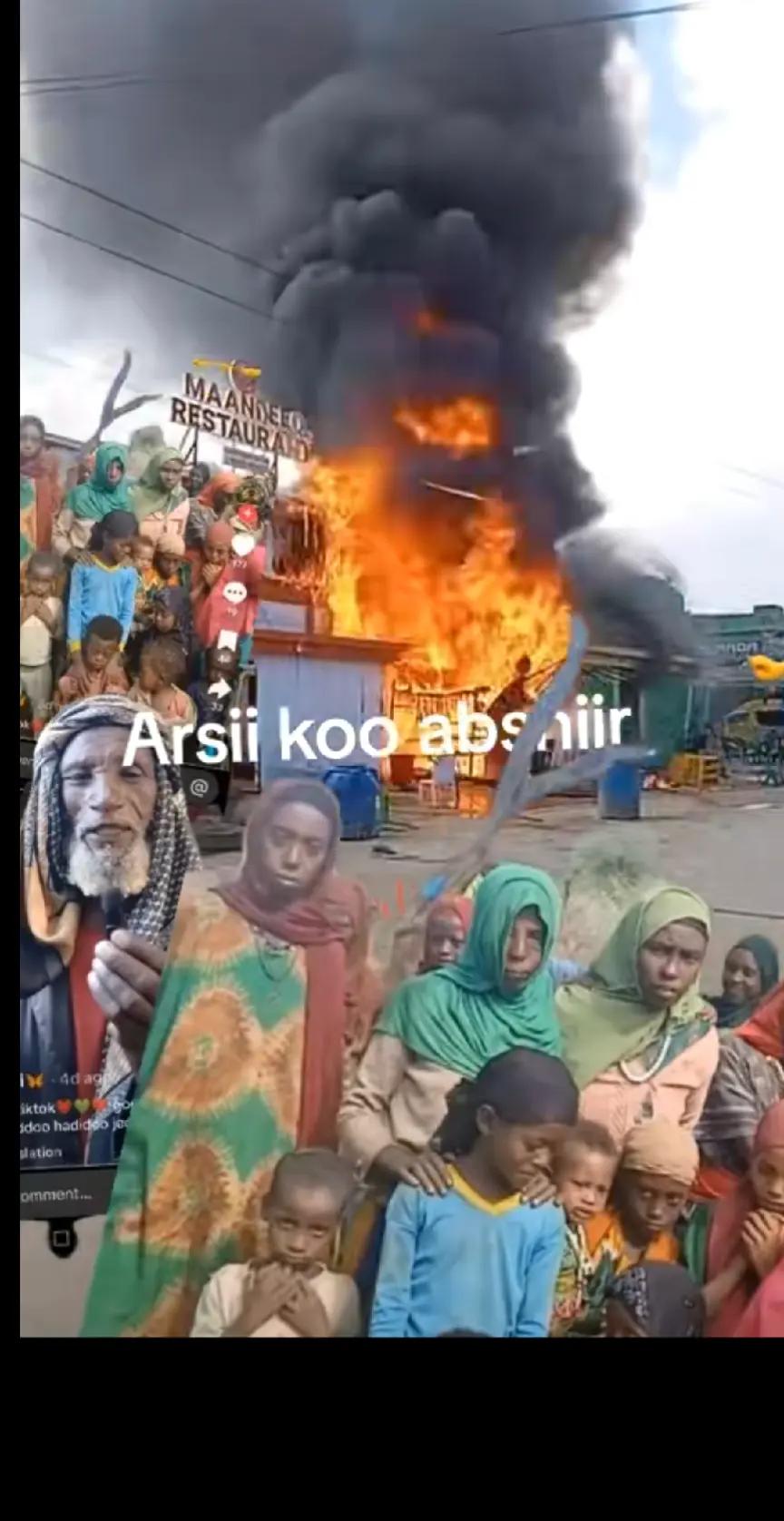 @boonaa ilmma saba guddaa