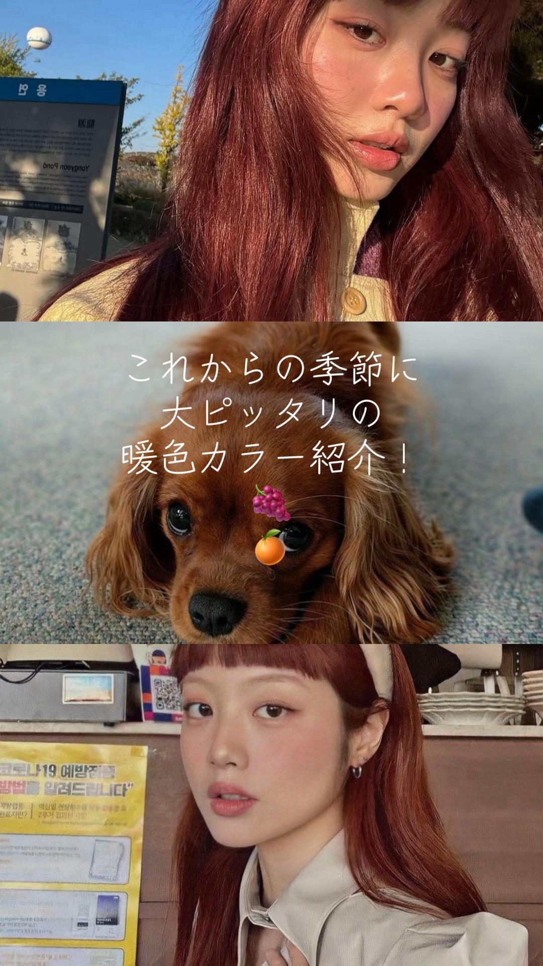 @マサ/暖色カラー/表参道