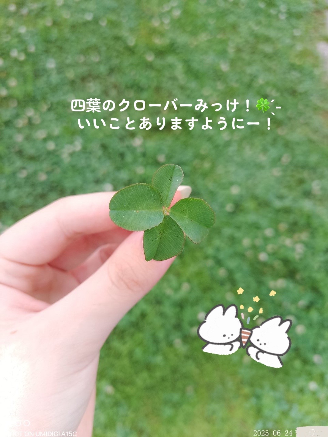 @.Rio.🕸