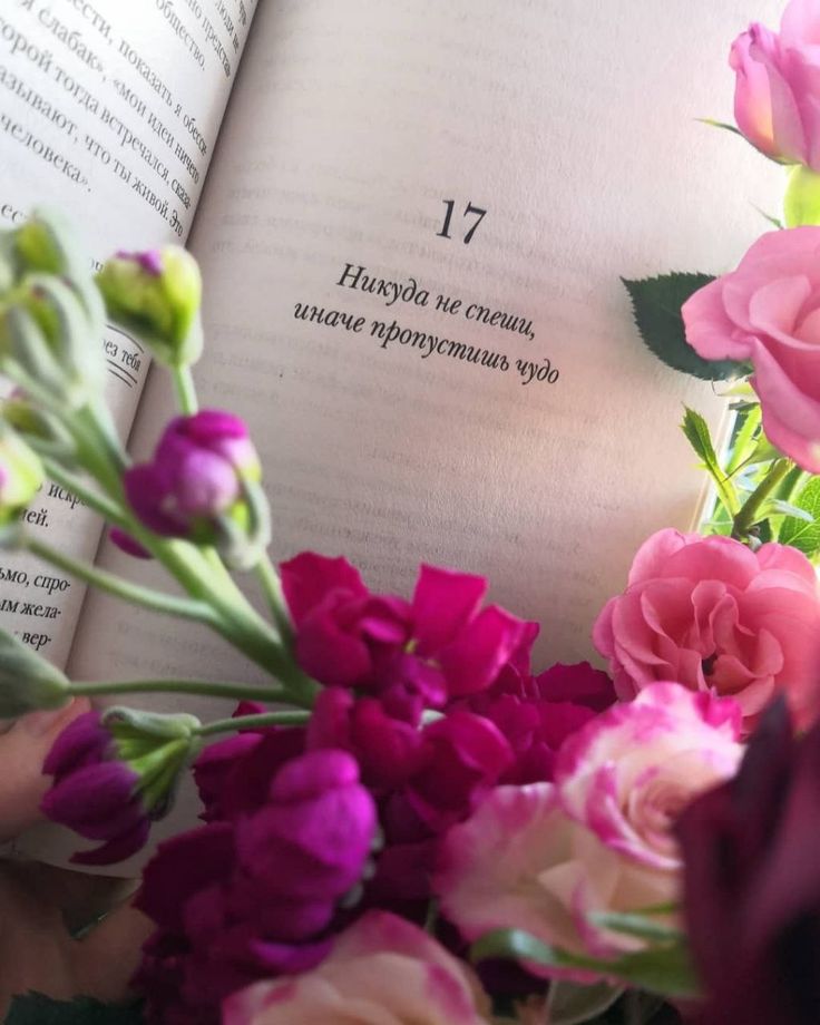 @𝑨𝒊𝒅𝒂