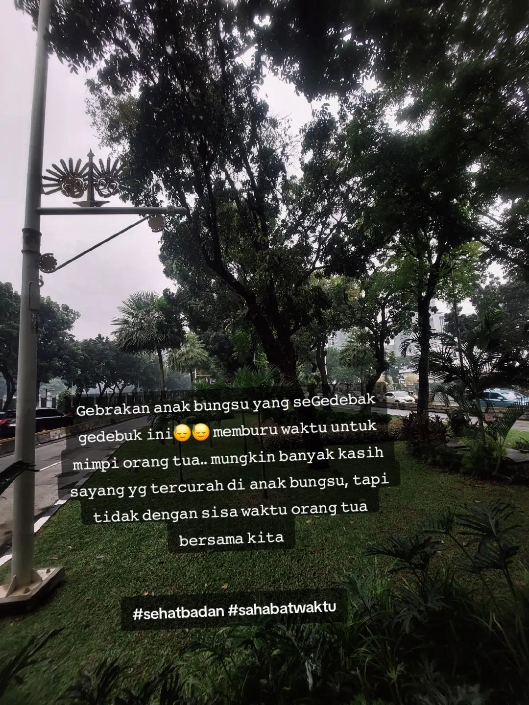 @namujia