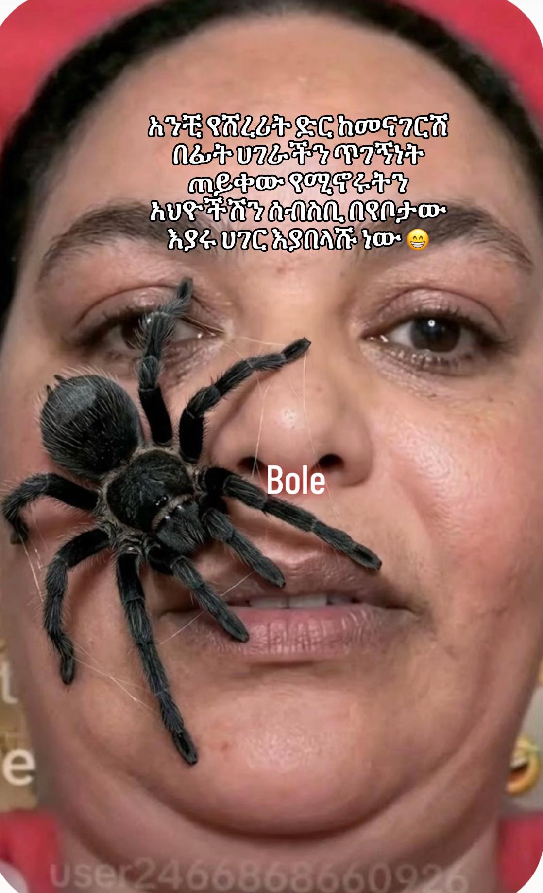 @๐ฉ๐ถ๐ณ๐ฌ ๐๏ธ
