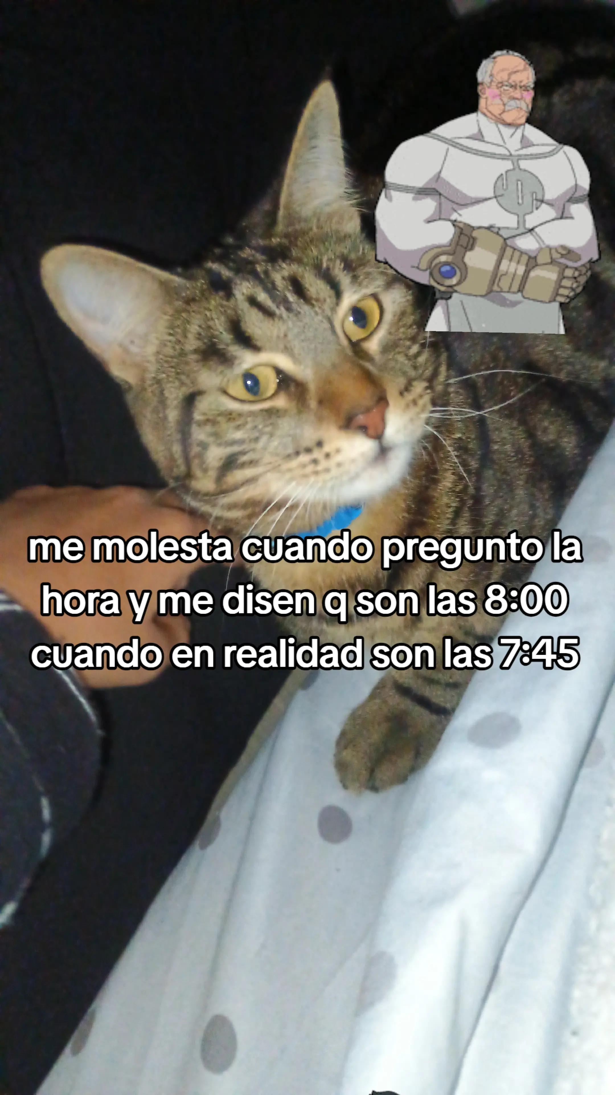 @≠MIKS≠