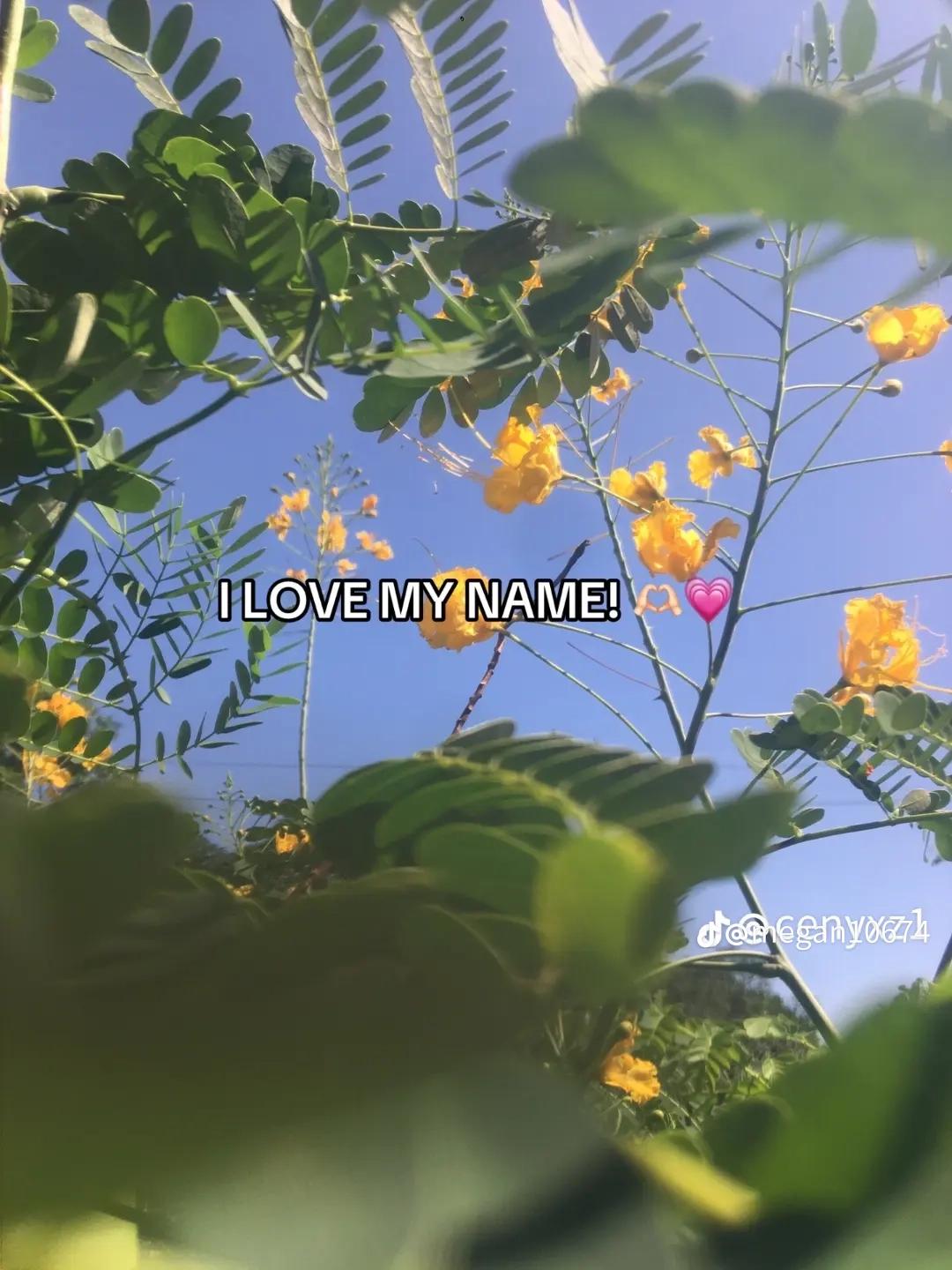 @Elvie