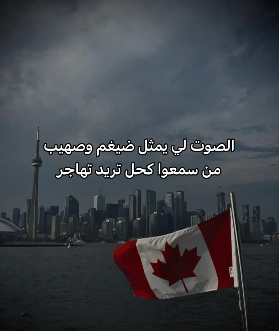 @﮼خاتون النساوين 𓍯.