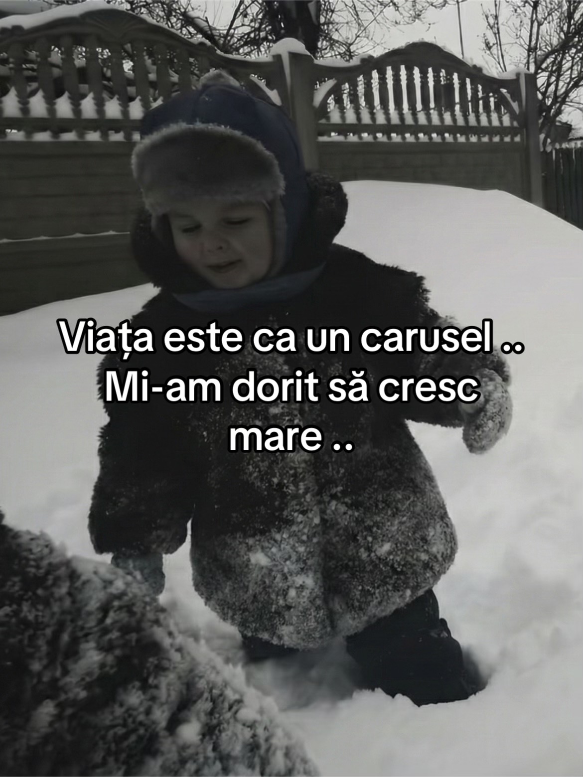 @Mihai89