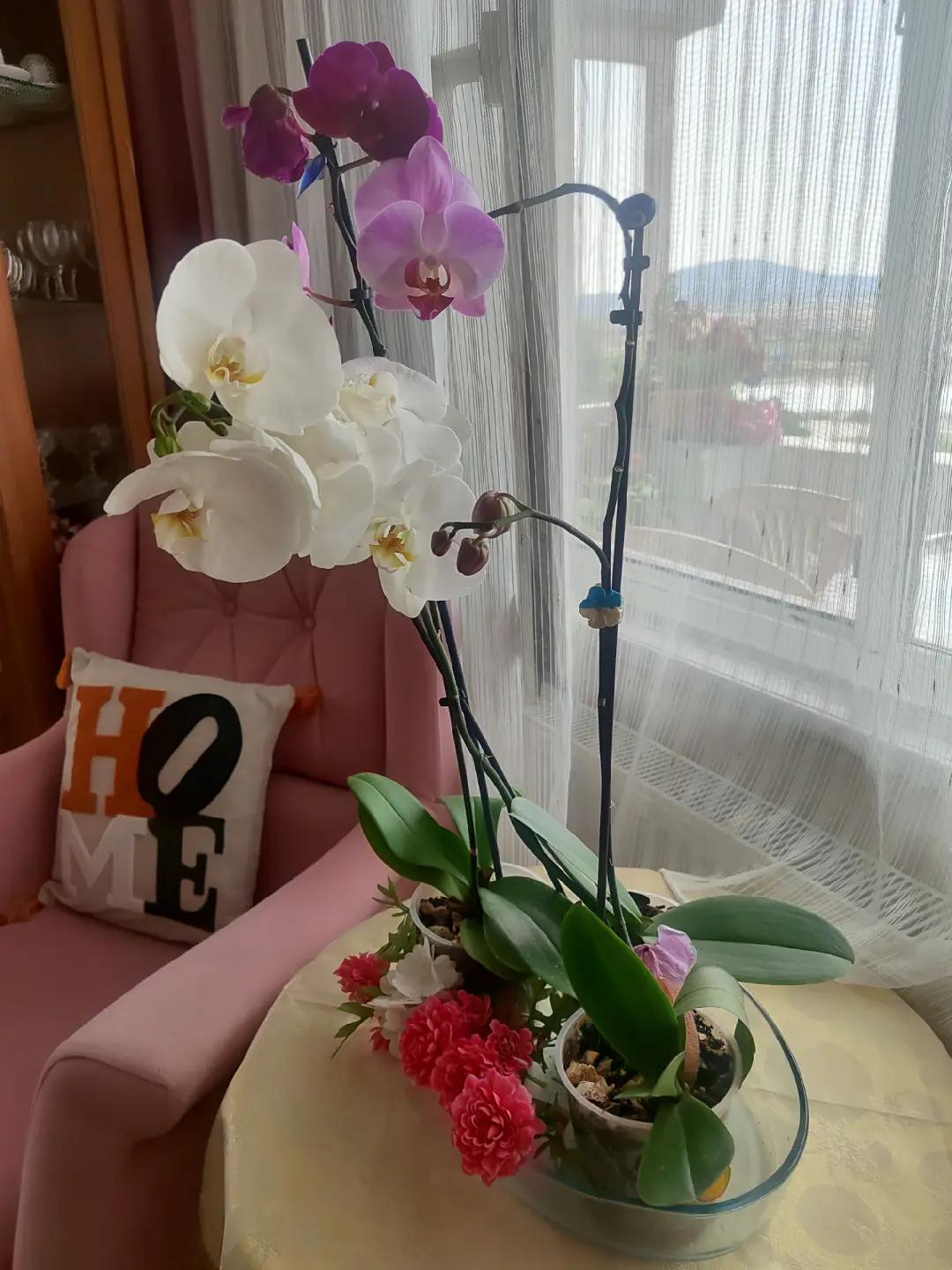 @ayhankavlak