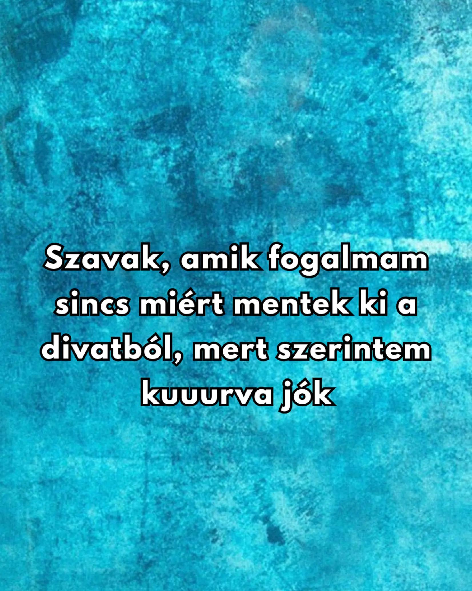 @Mezőföldi Pitypang író✍️
