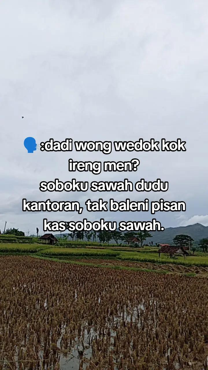 @Diyann