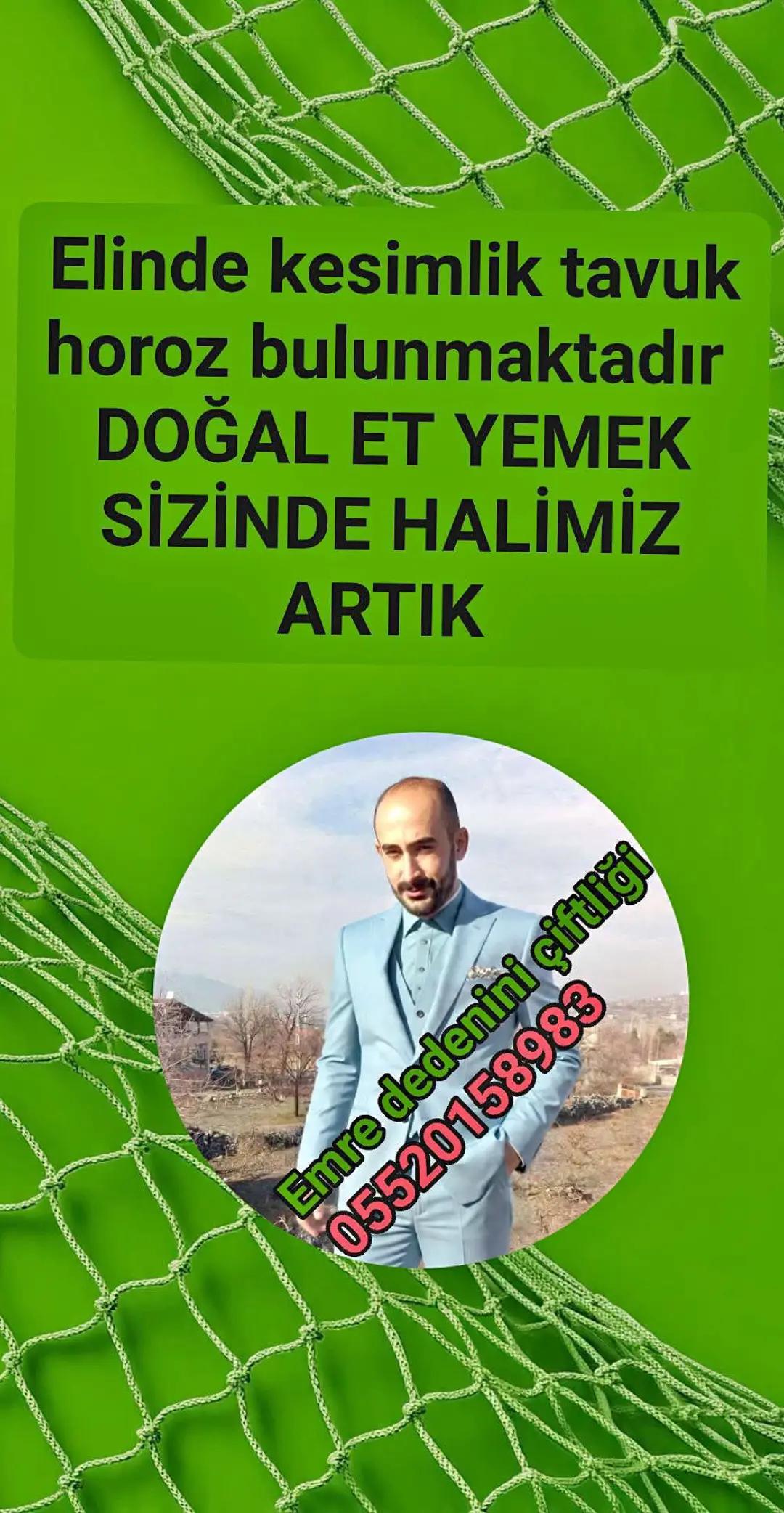 @nefretimsin dünya