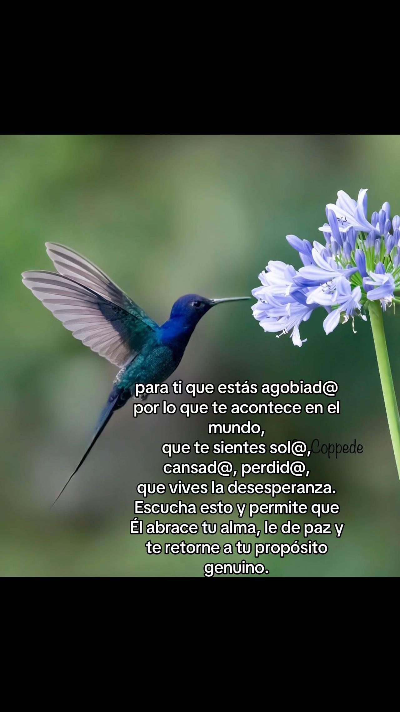 @Carlos_Ivan