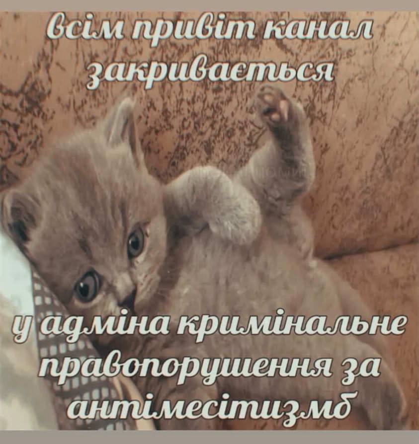 @shpak