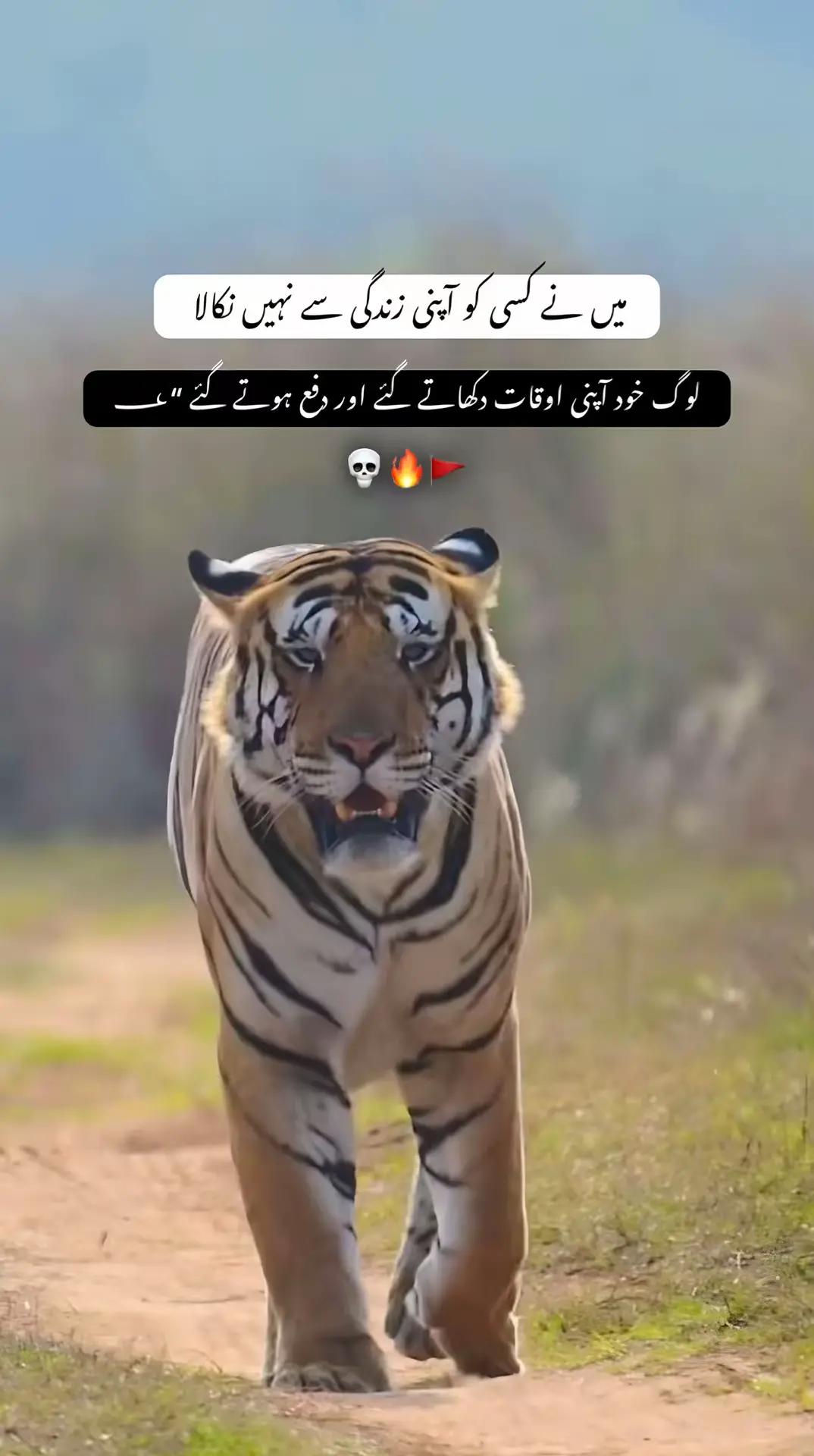@actor boy_09