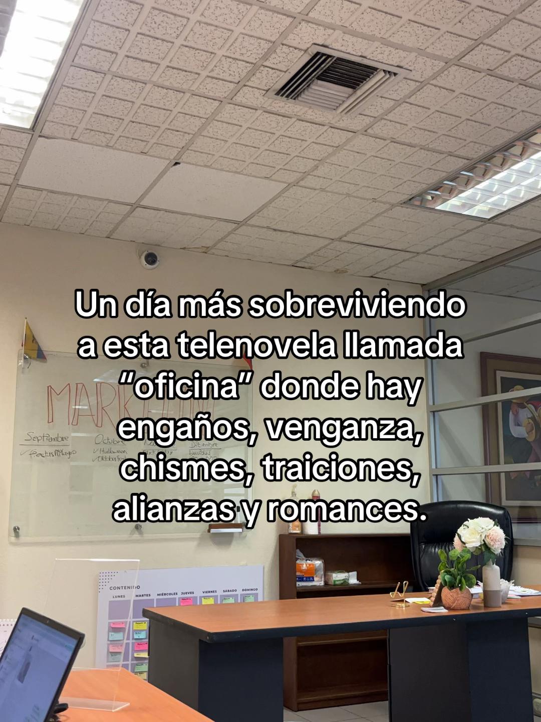 @Mich|