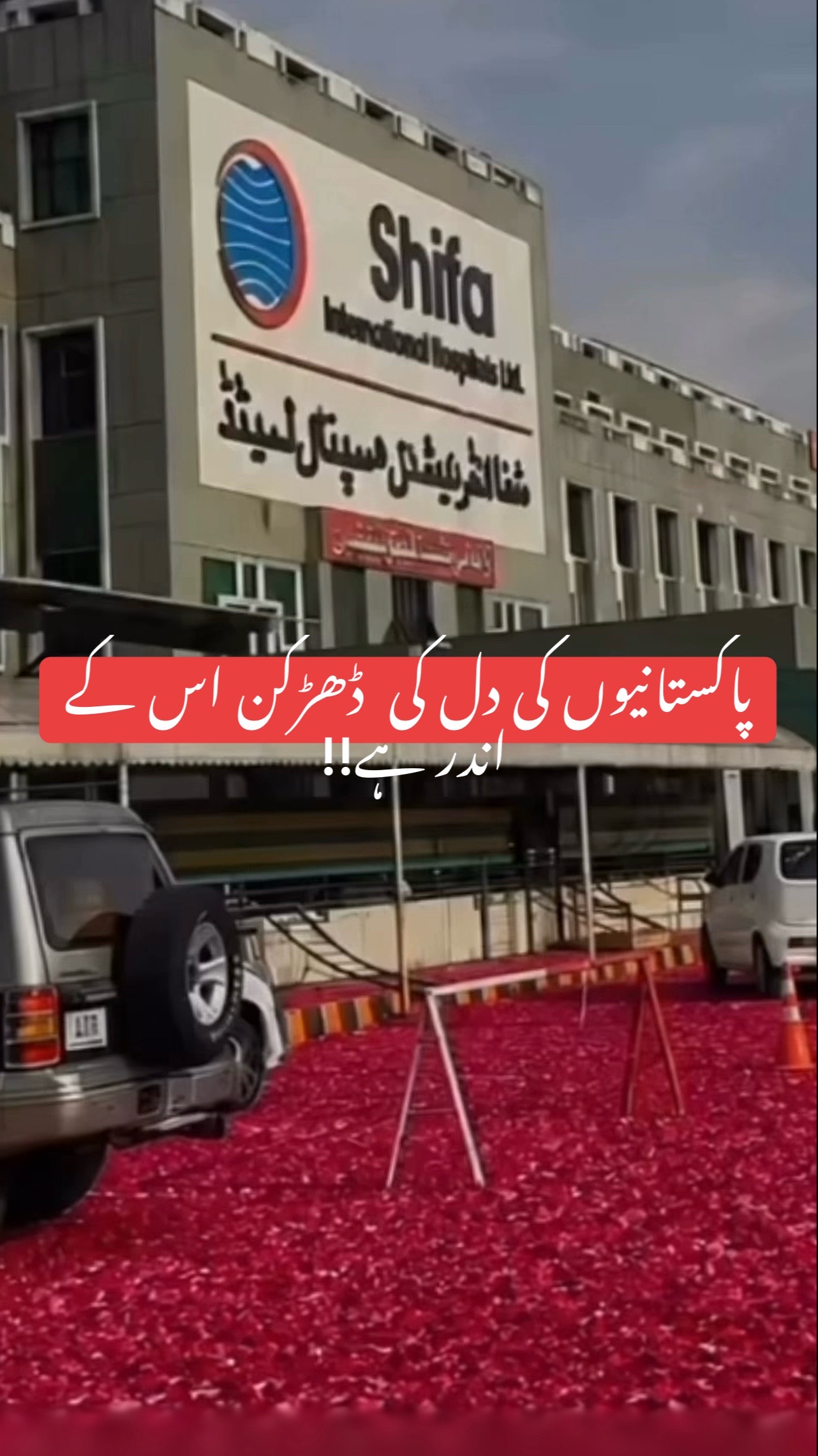 @Zarghon gul