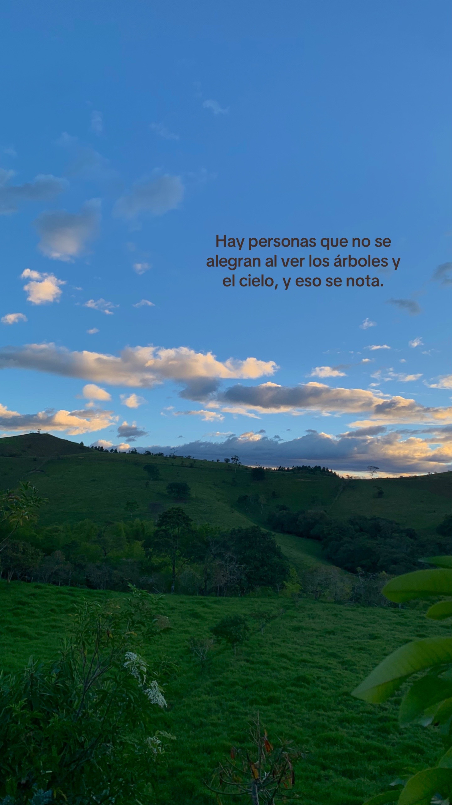 @𝐼𝓈𝒶