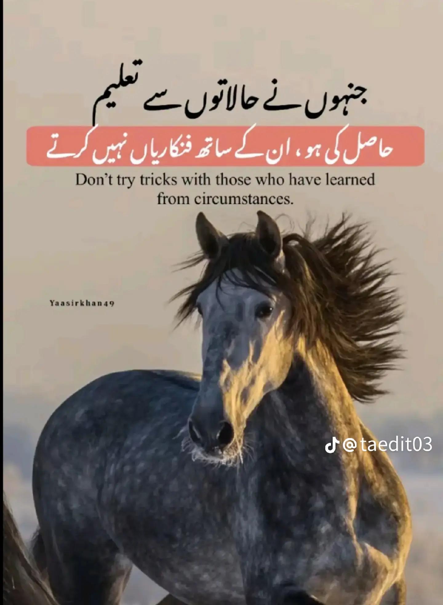 @[Husn@!n kh@@r@L]