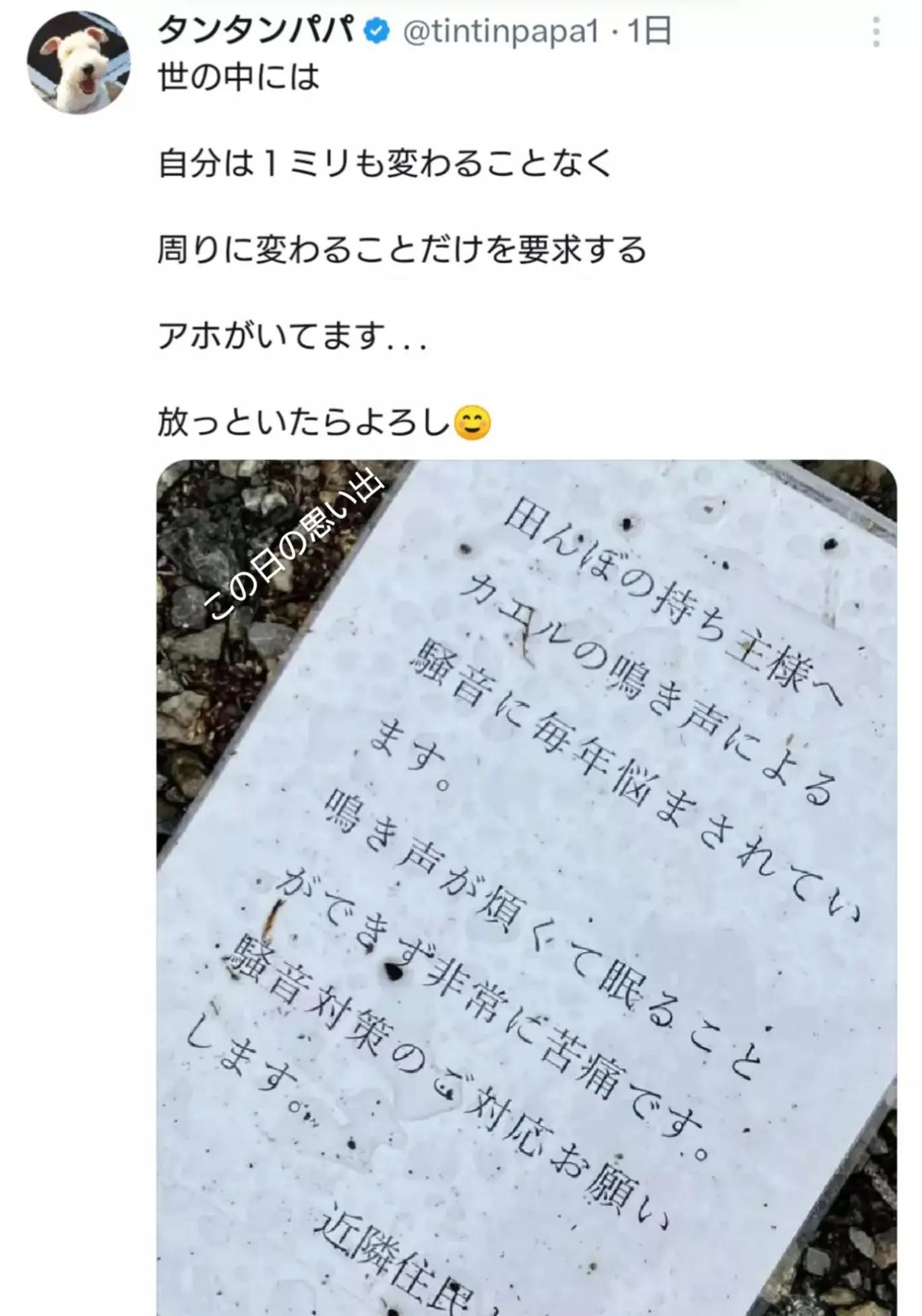 @尹の夕は。