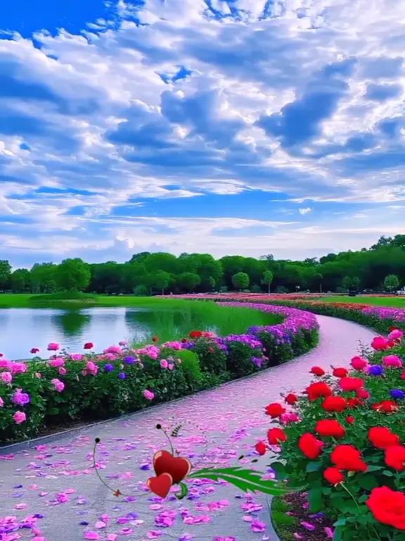 @zafar 52239