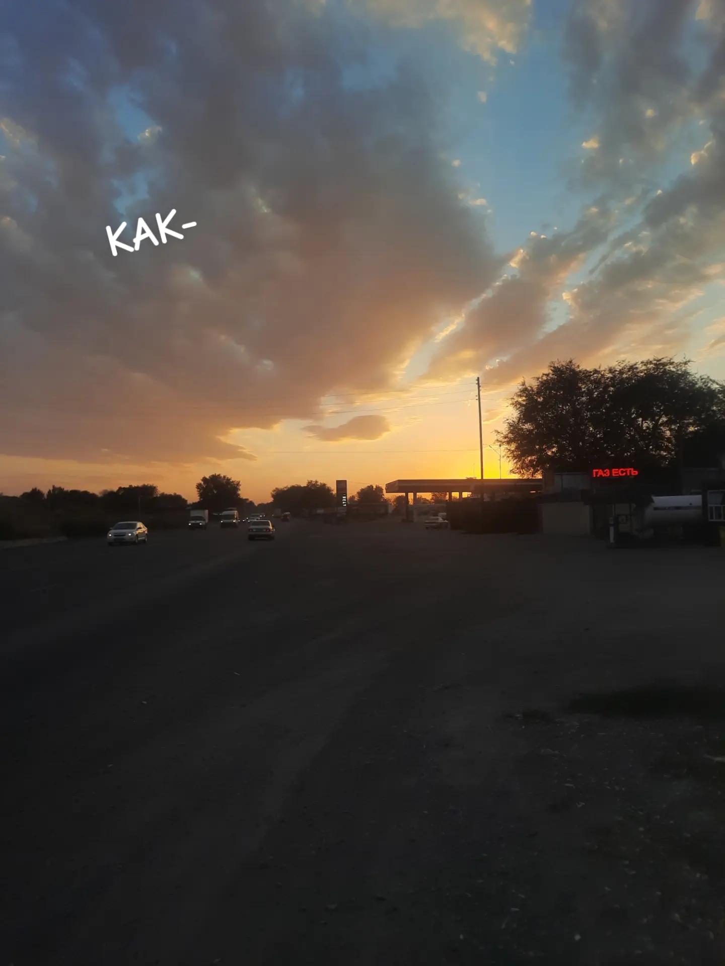 @242ARS