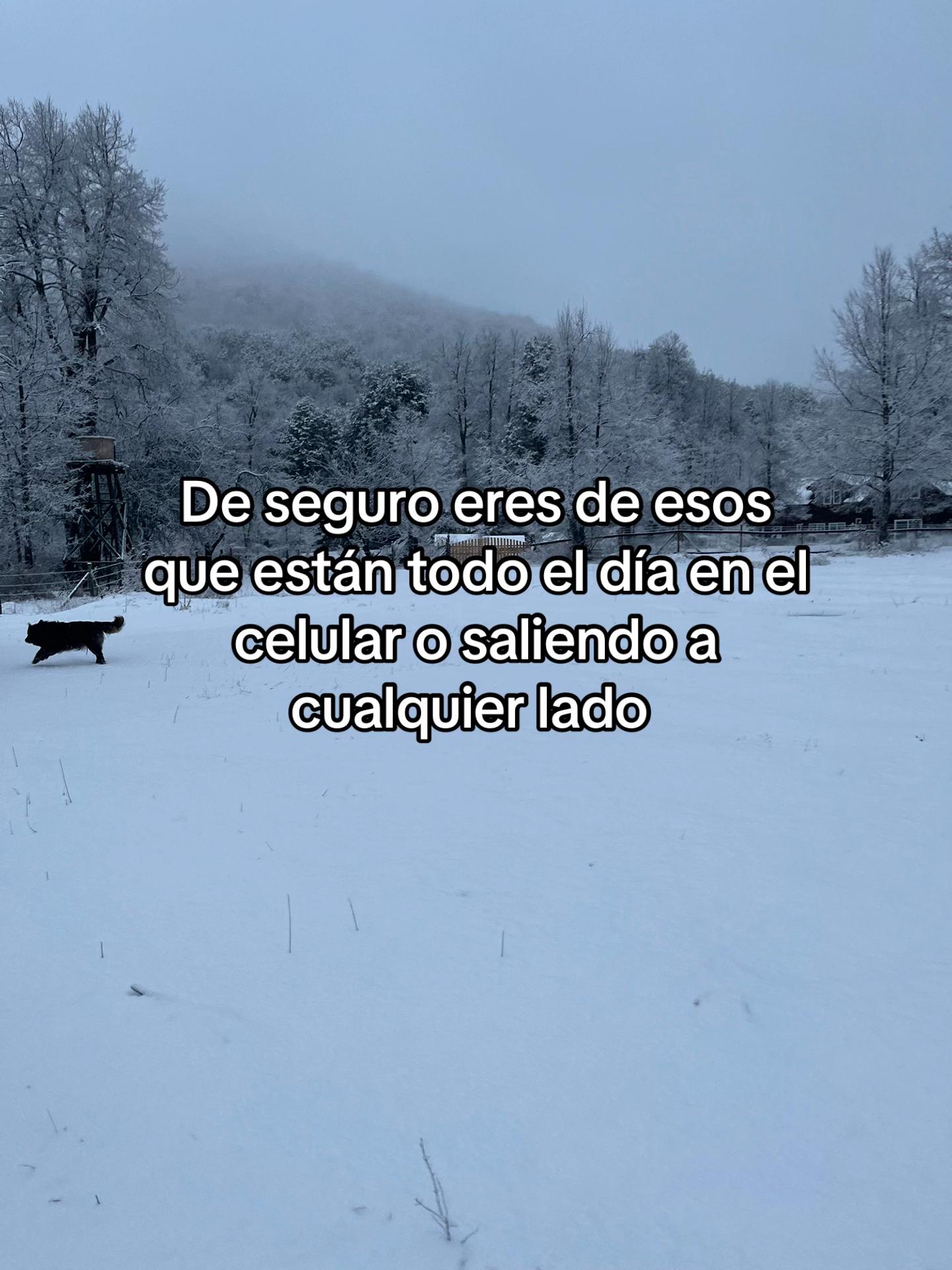 @tutioguille_777