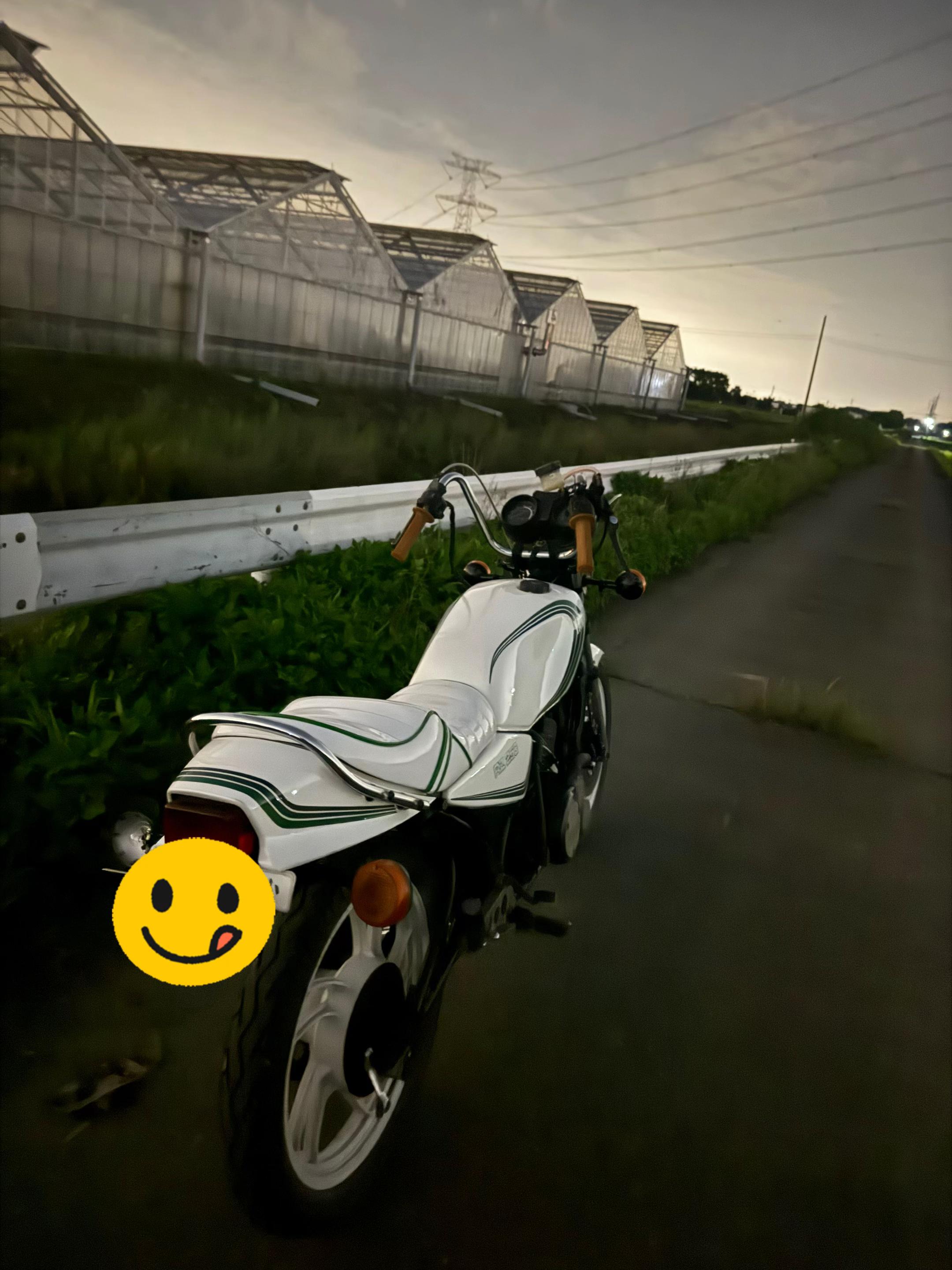 @ハーフ顔のゴキブリ🪳