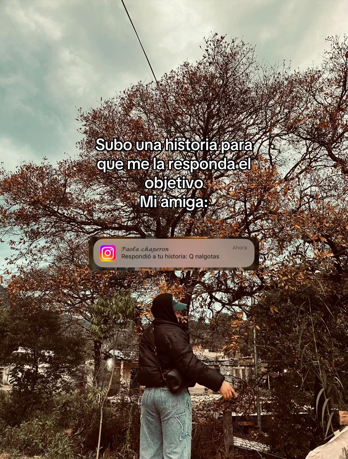 @Joseestuardo