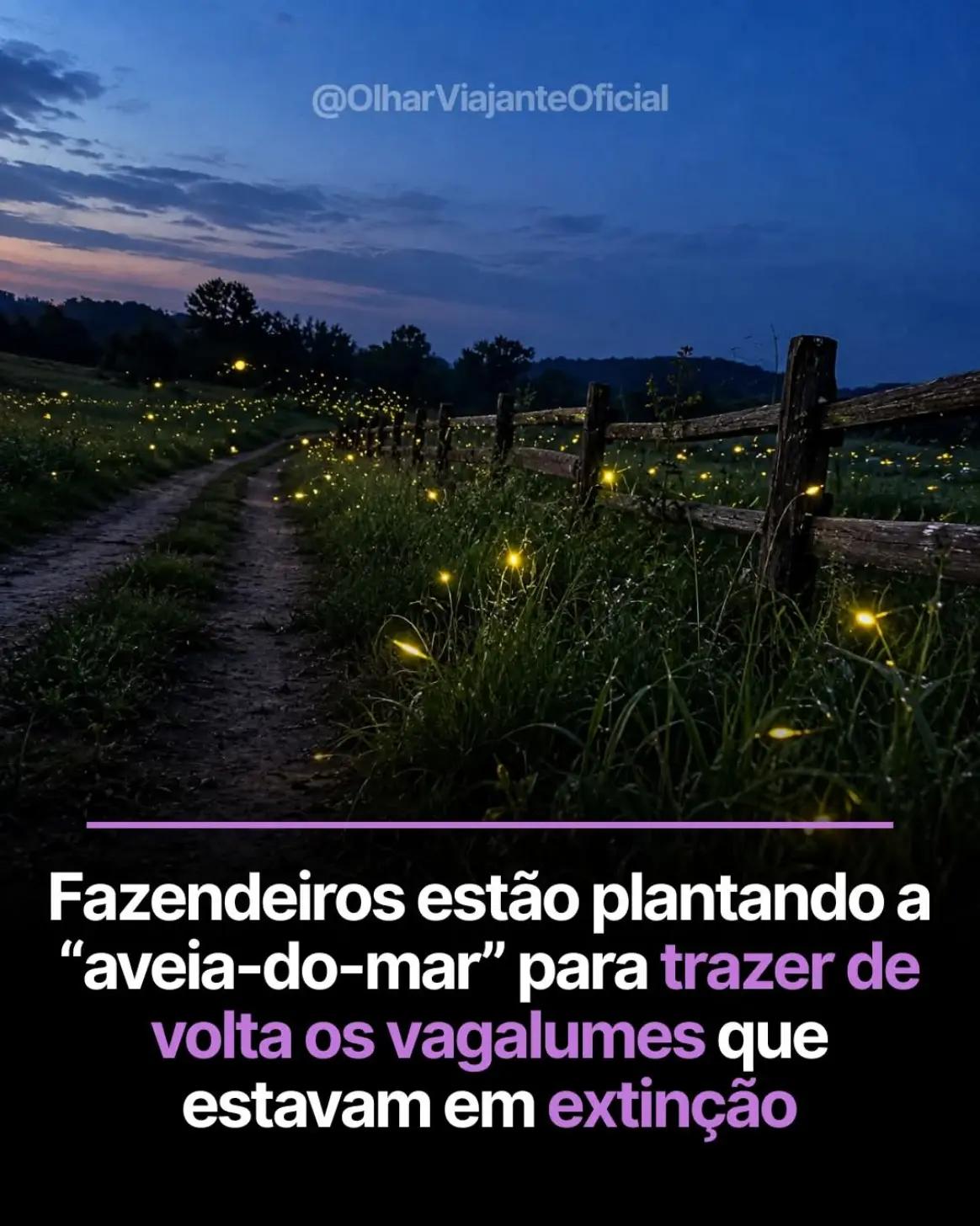 @HISTÓRIA REAIS