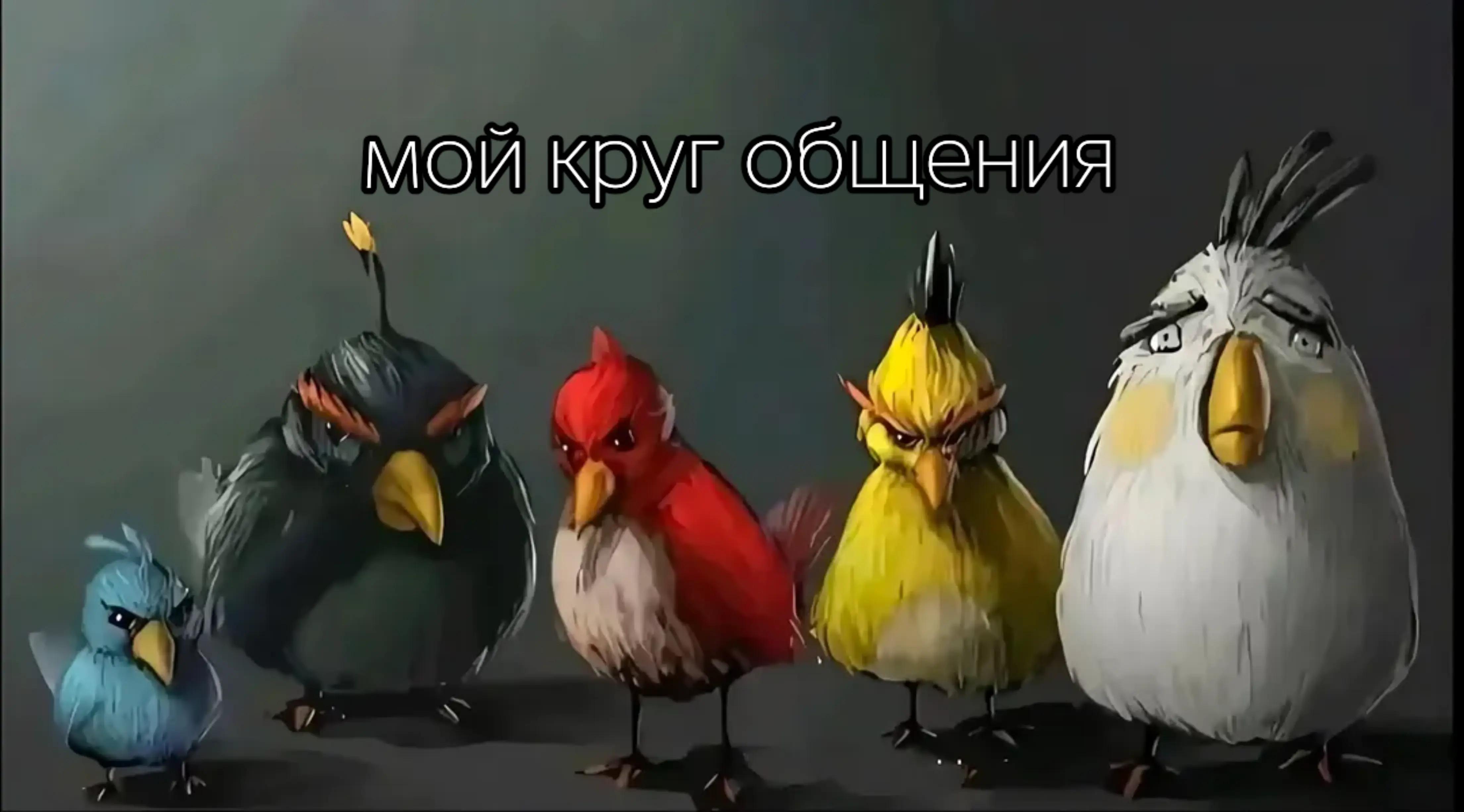 @из 📍 Вращенец