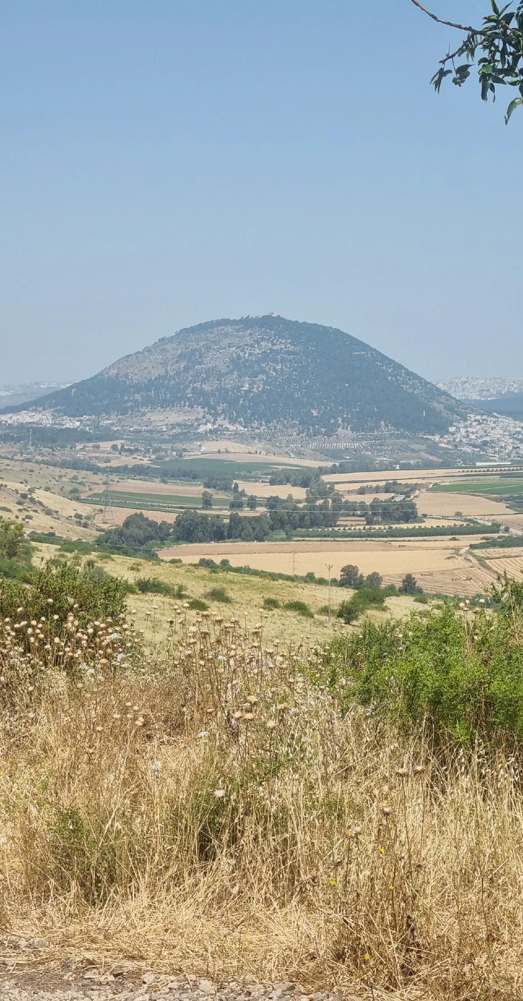 @פורטל הכרמל , emily halabi