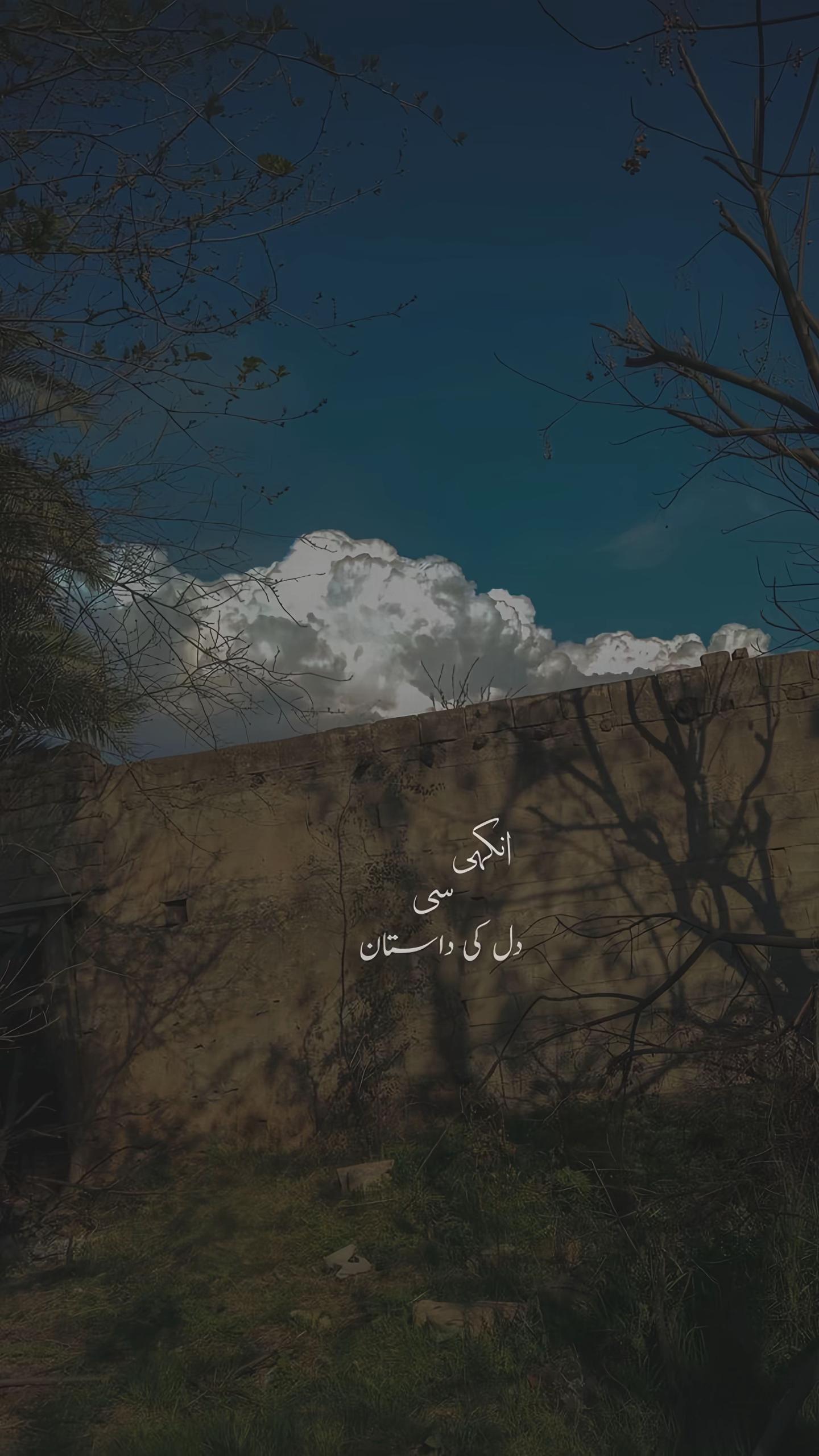 @AQIB MALIK🍃📖💫