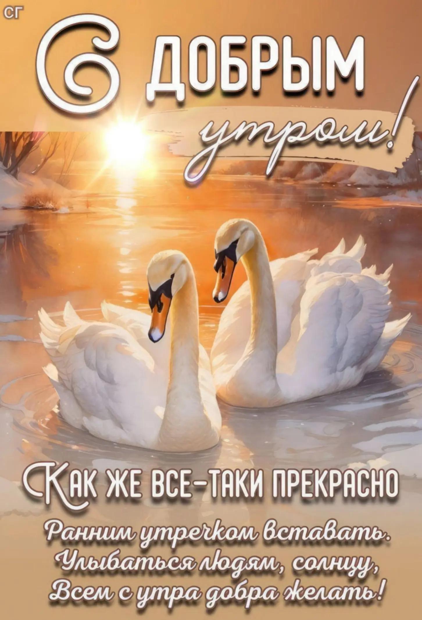 @Нина Лушникова