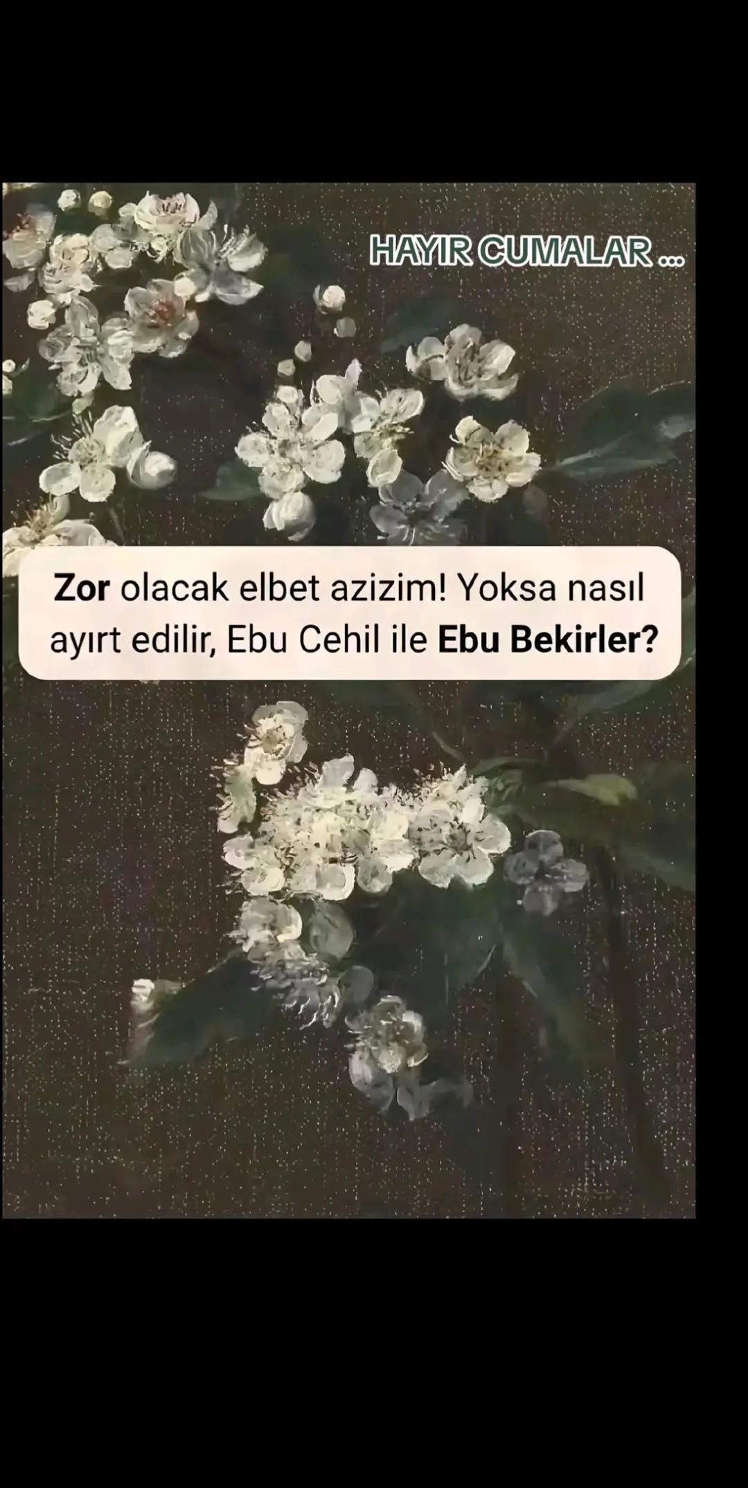 @HAYALLER  İPTAL 😔😔😔