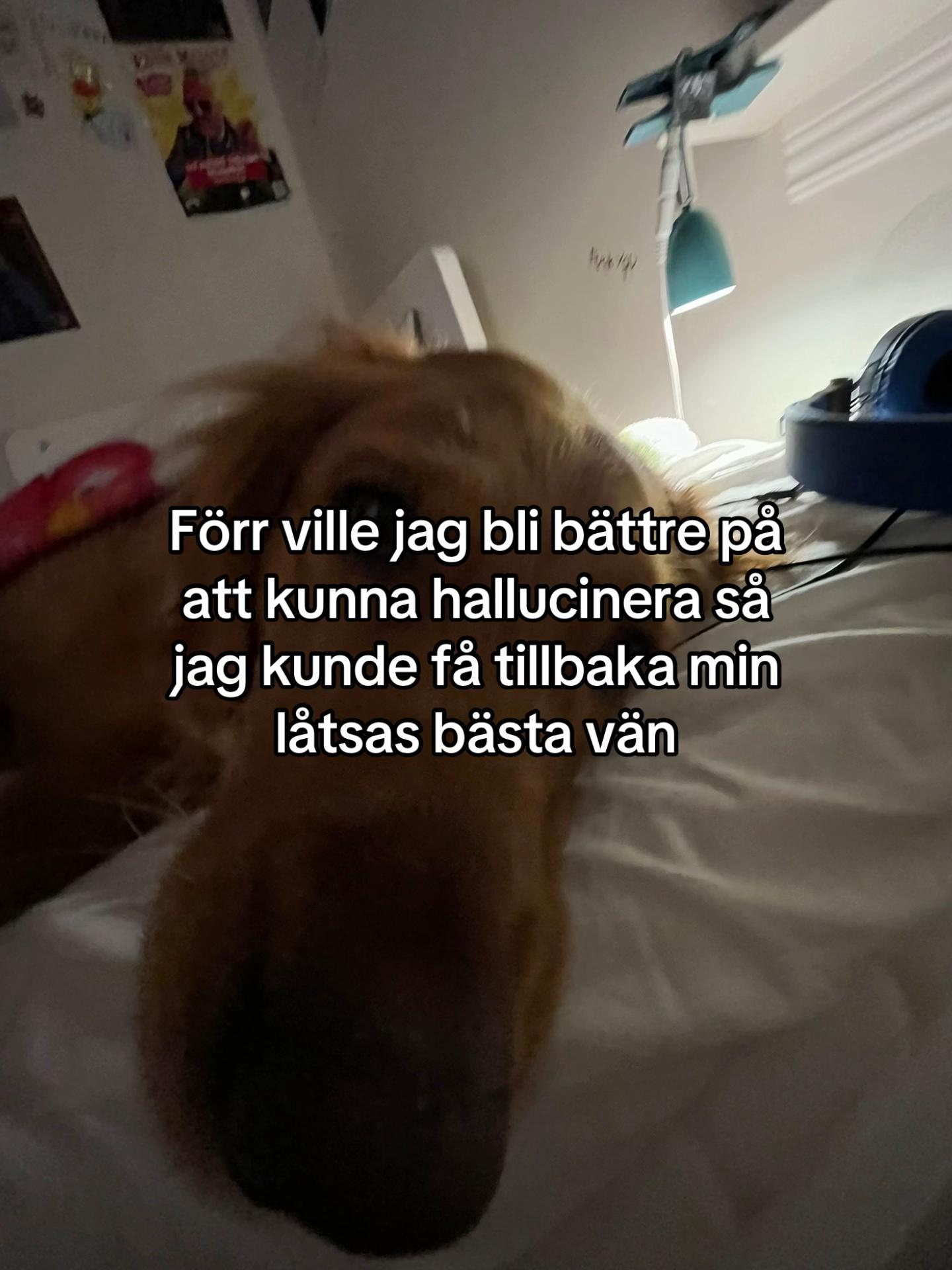 @ЅEᑕᖇET