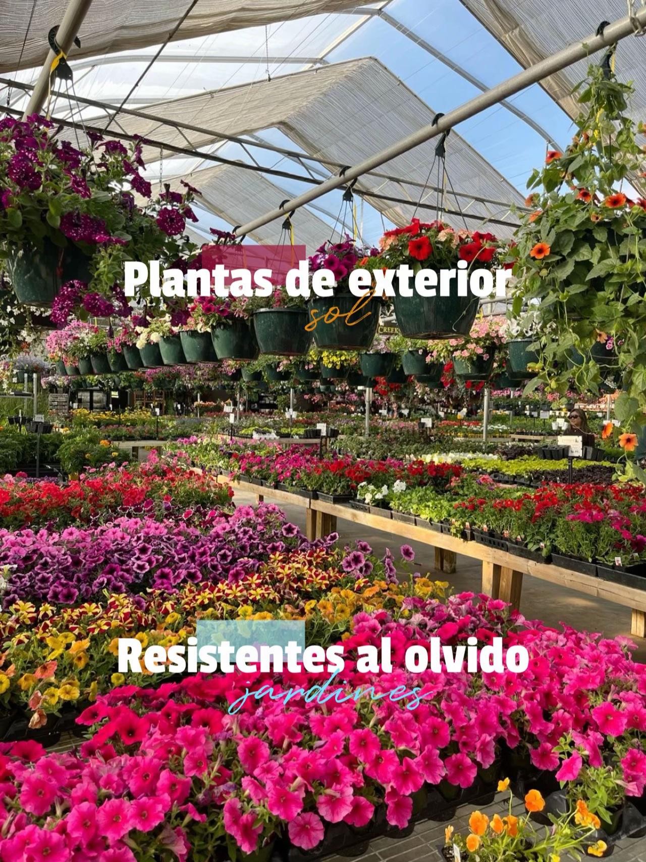 @crismonsi27