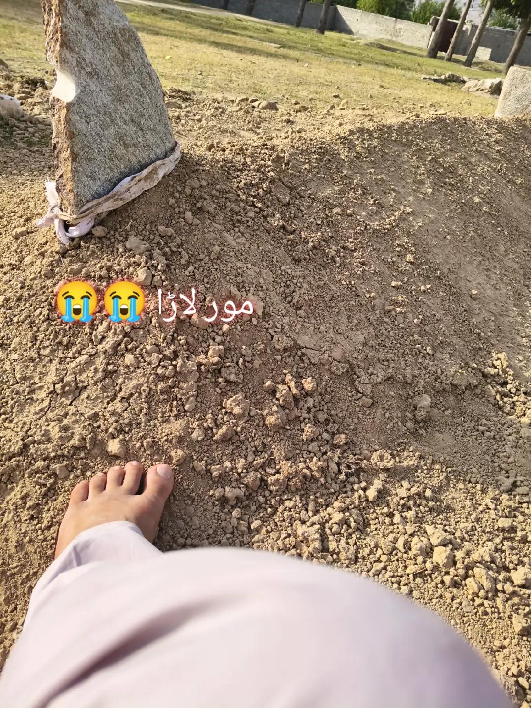 @🌺🌸